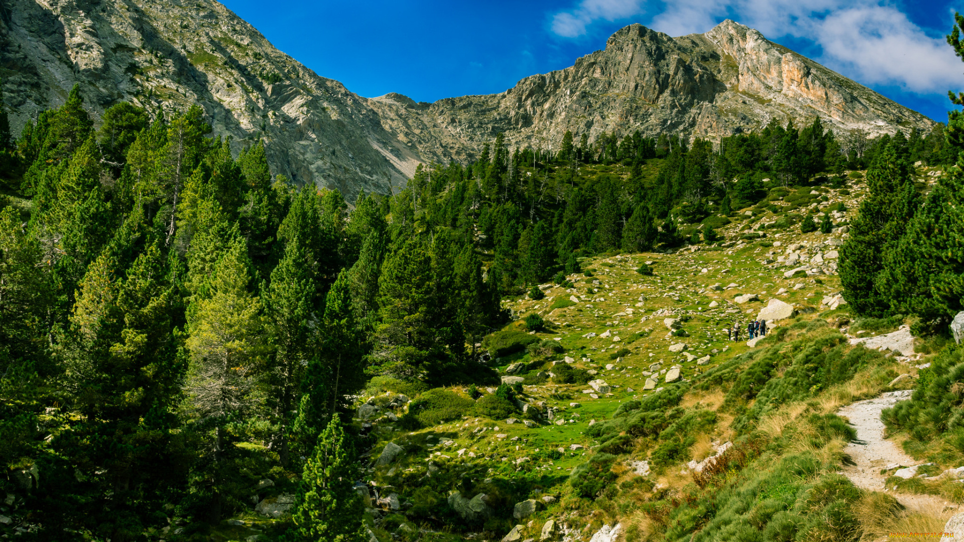 природа, горы, простор