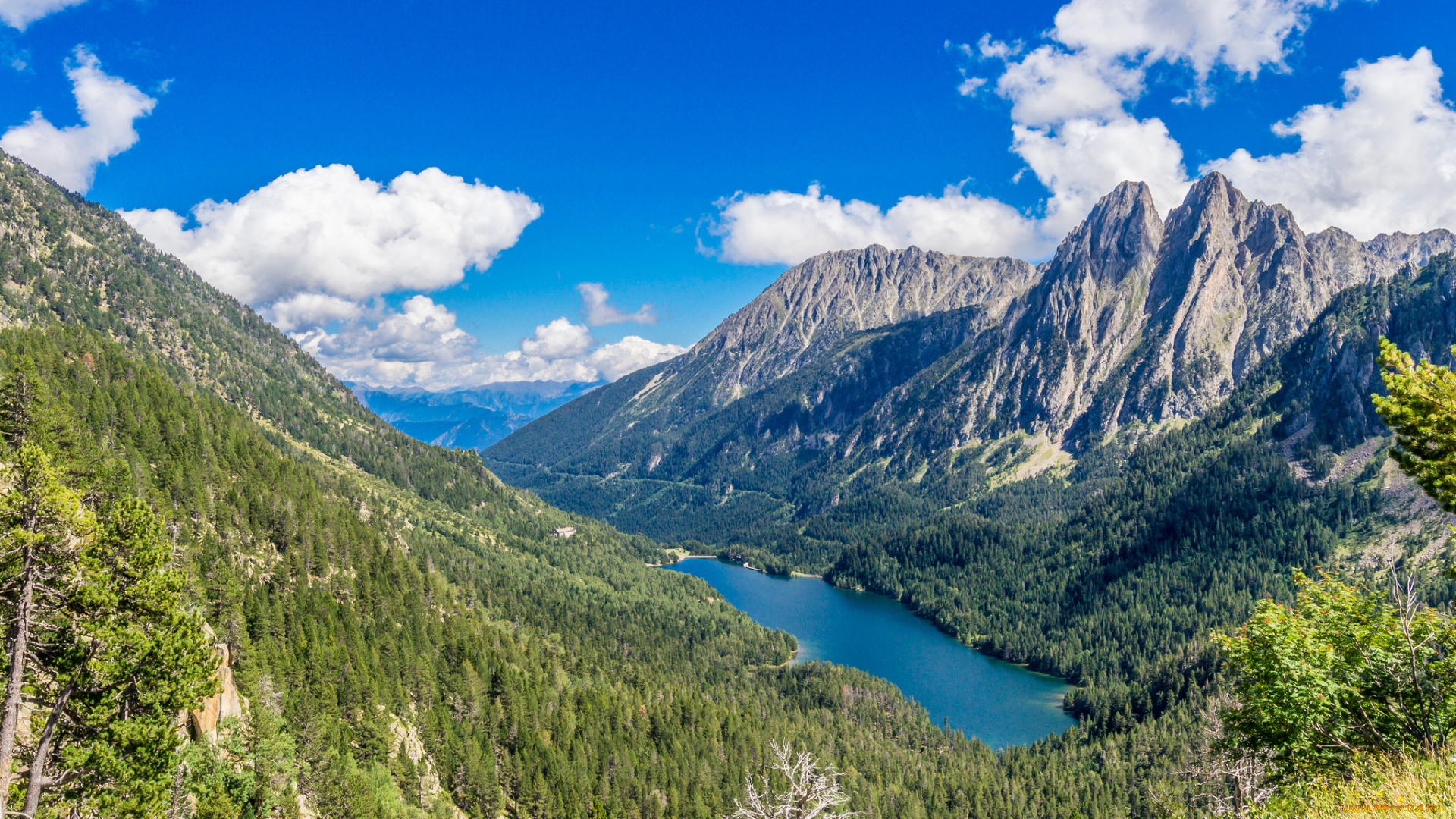 природа, пейзажи, простор