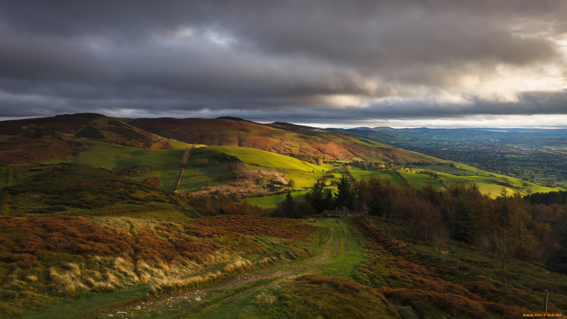 природа, пейзажи, простор