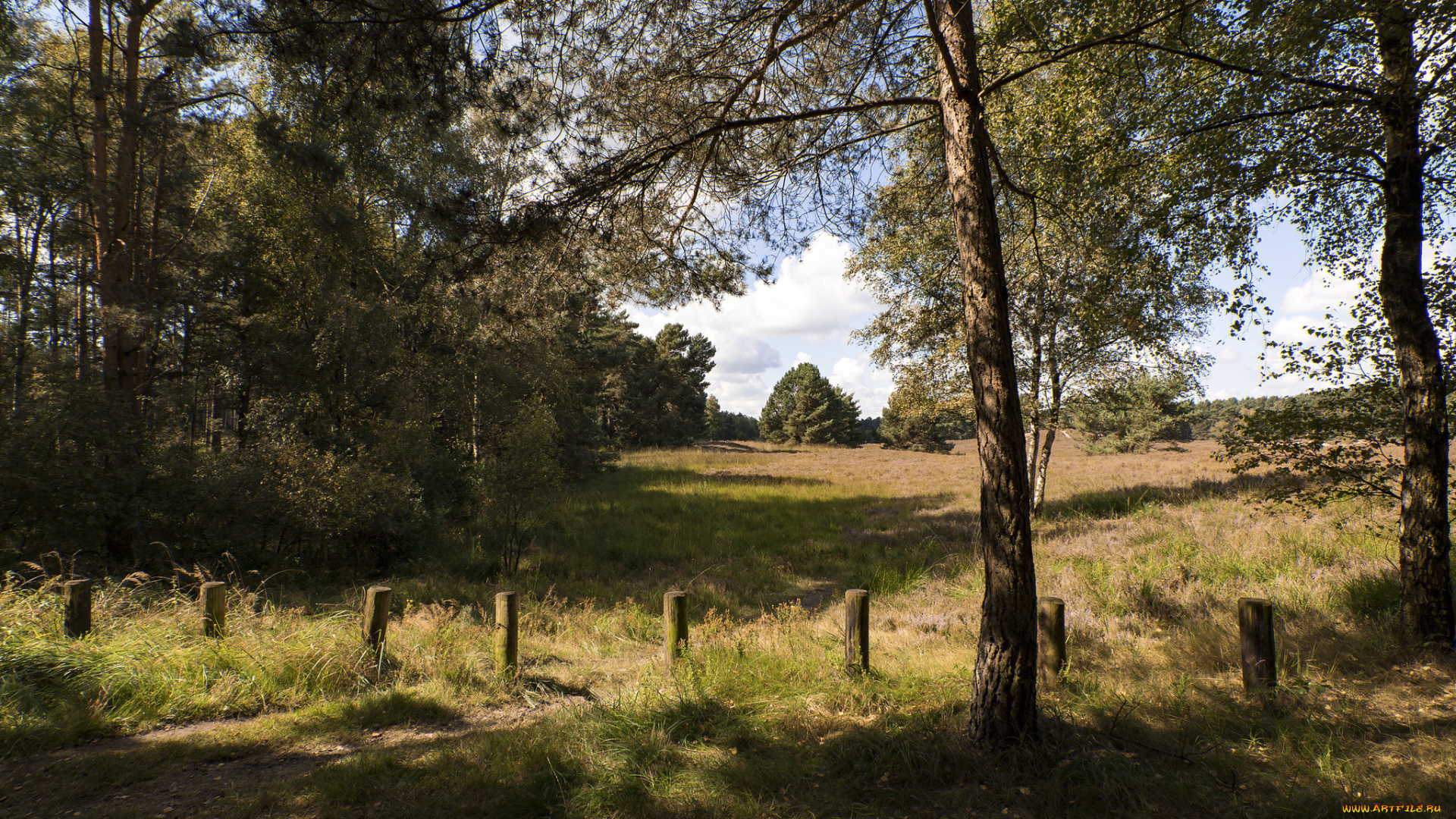 природа, пейзажи, простор