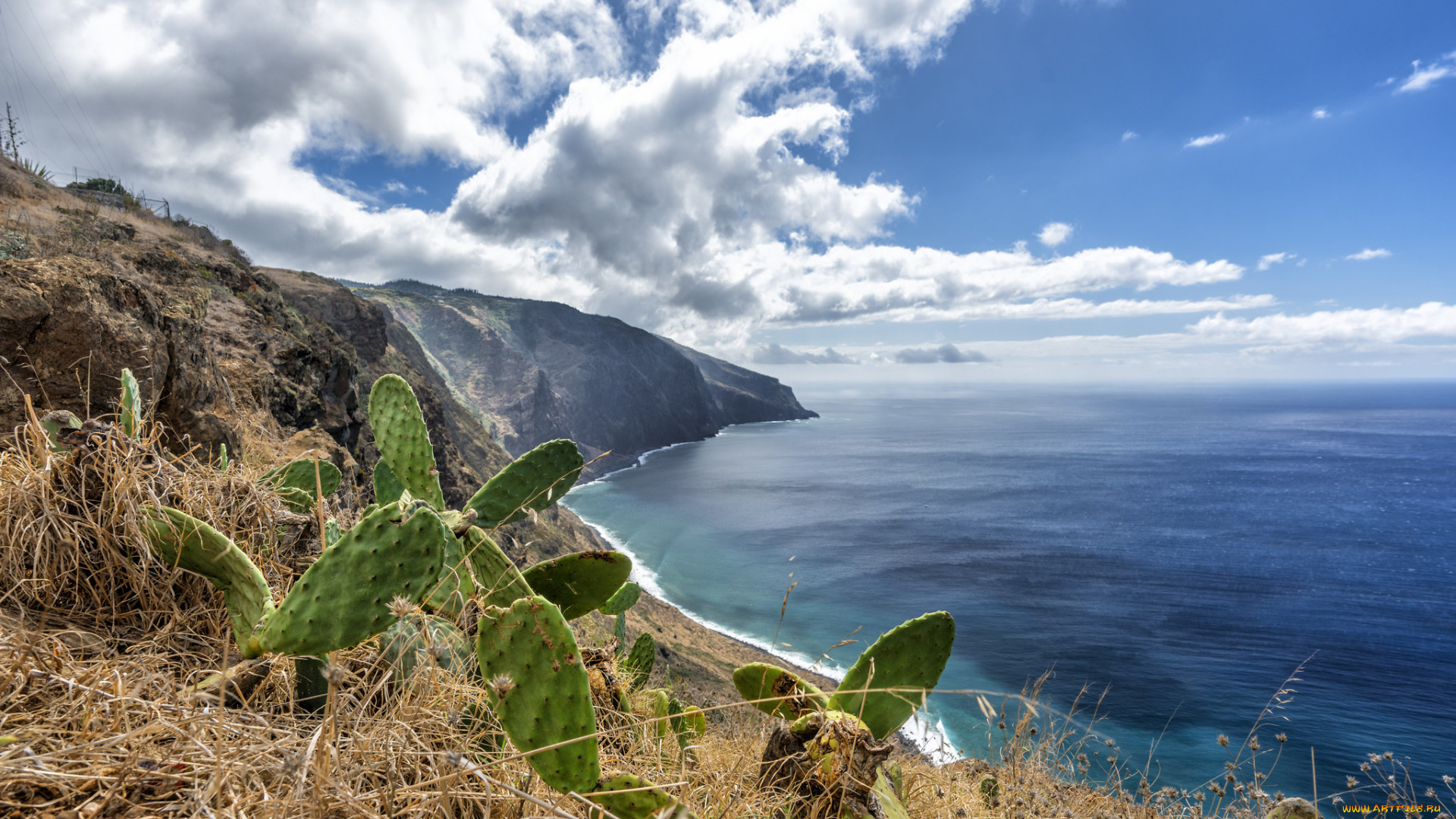 природа, побережье, простор