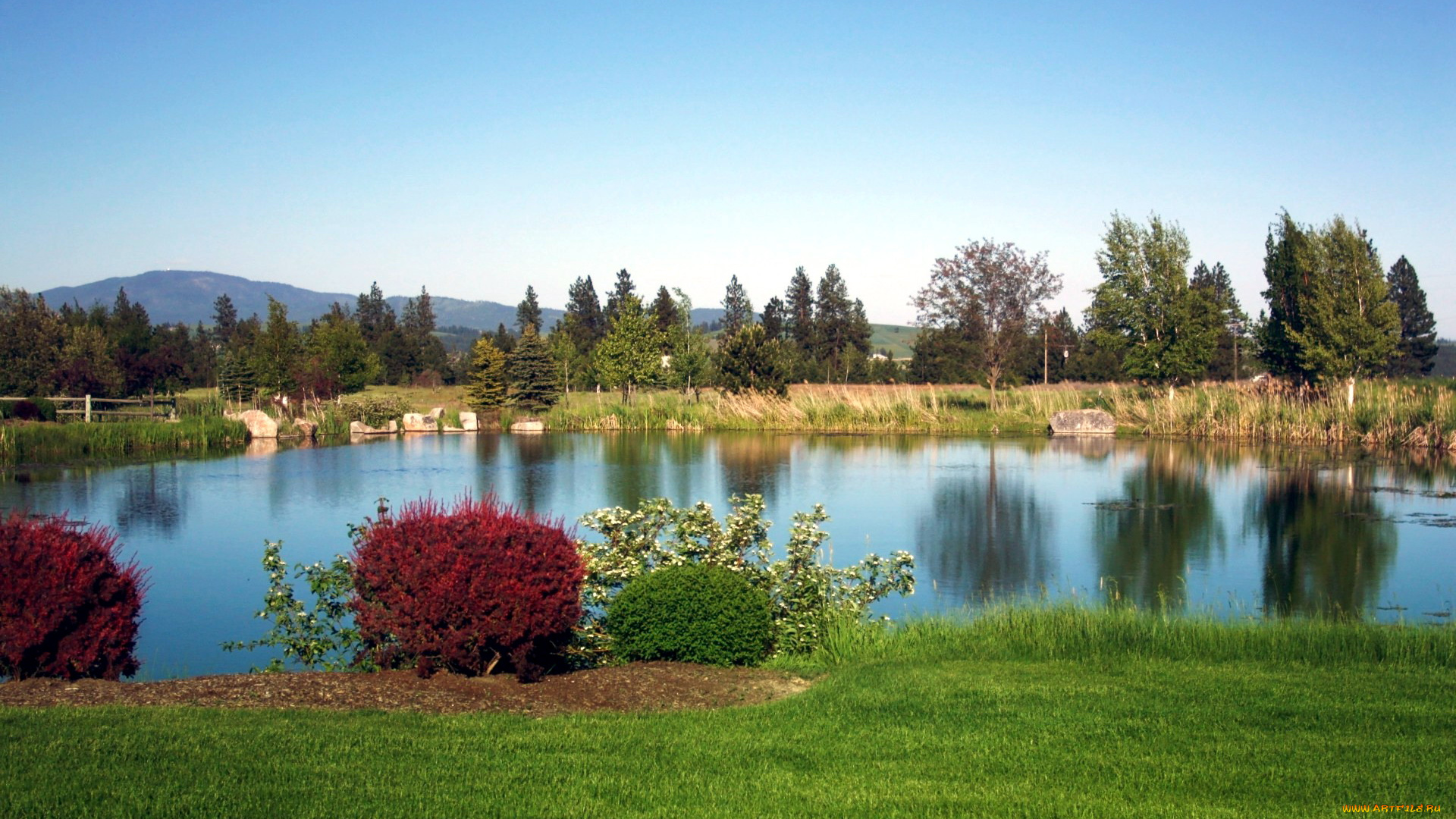 природа, реки, озера, кустарники, лужайка, пруд