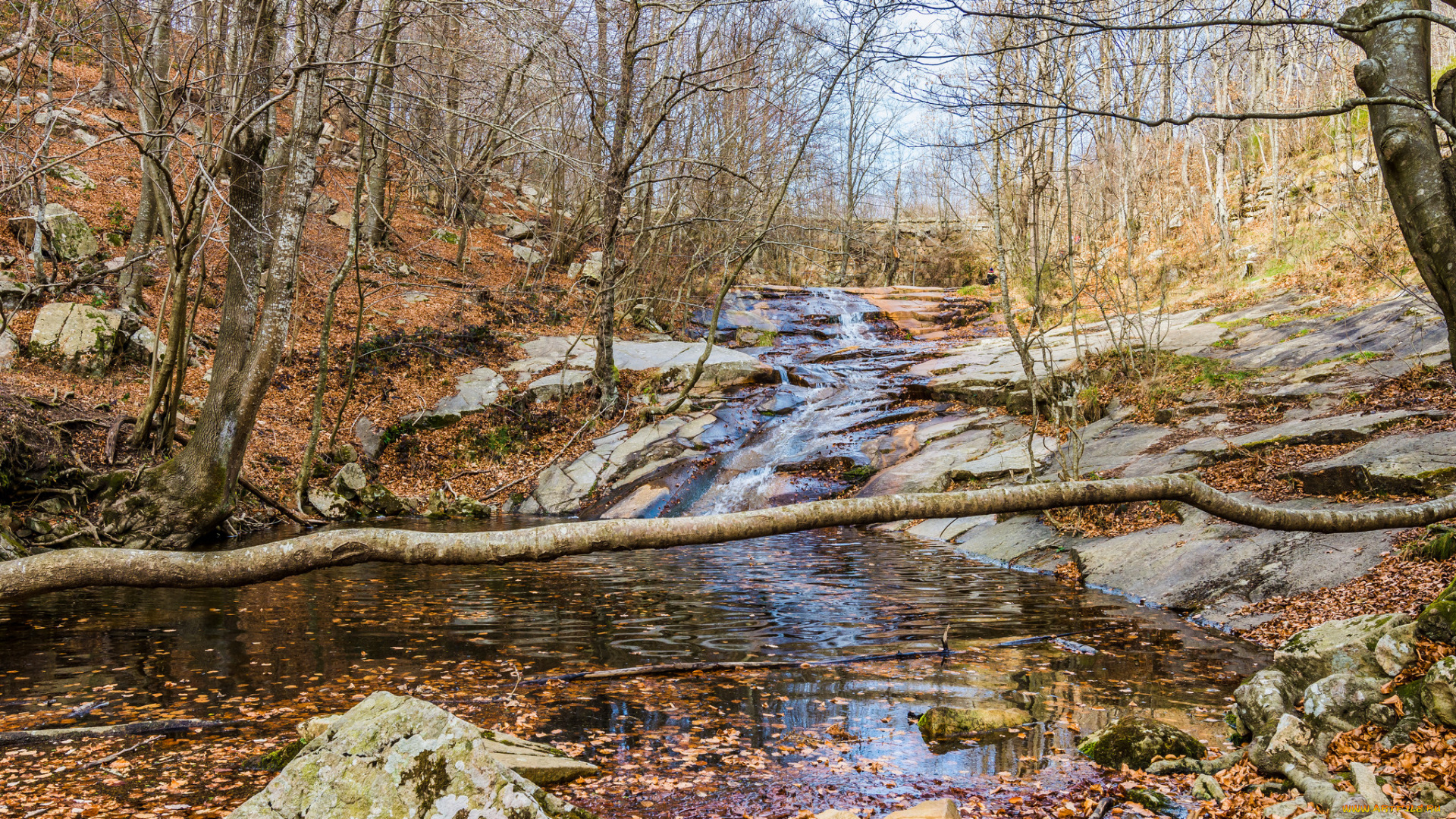 природа, реки, озера, простор