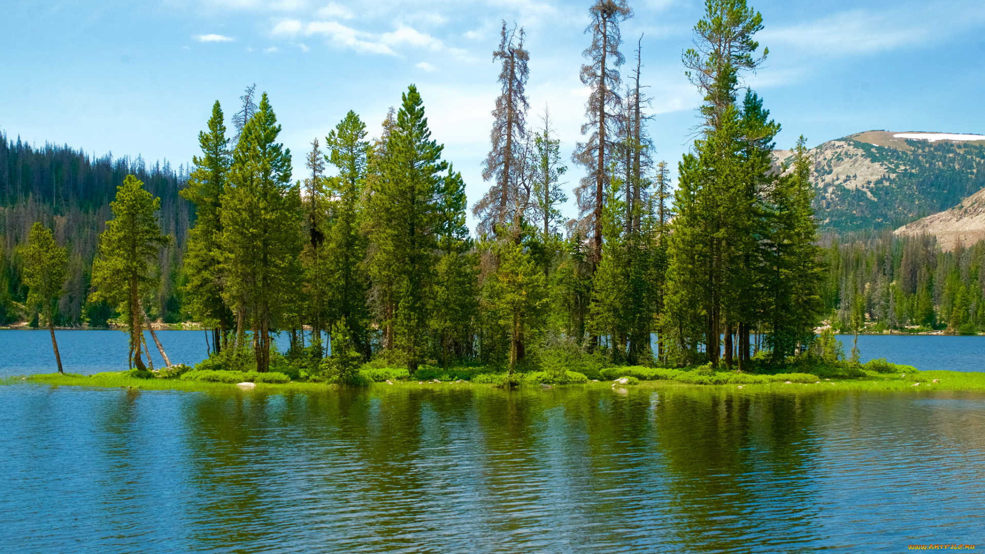 природа, реки, озера, простор