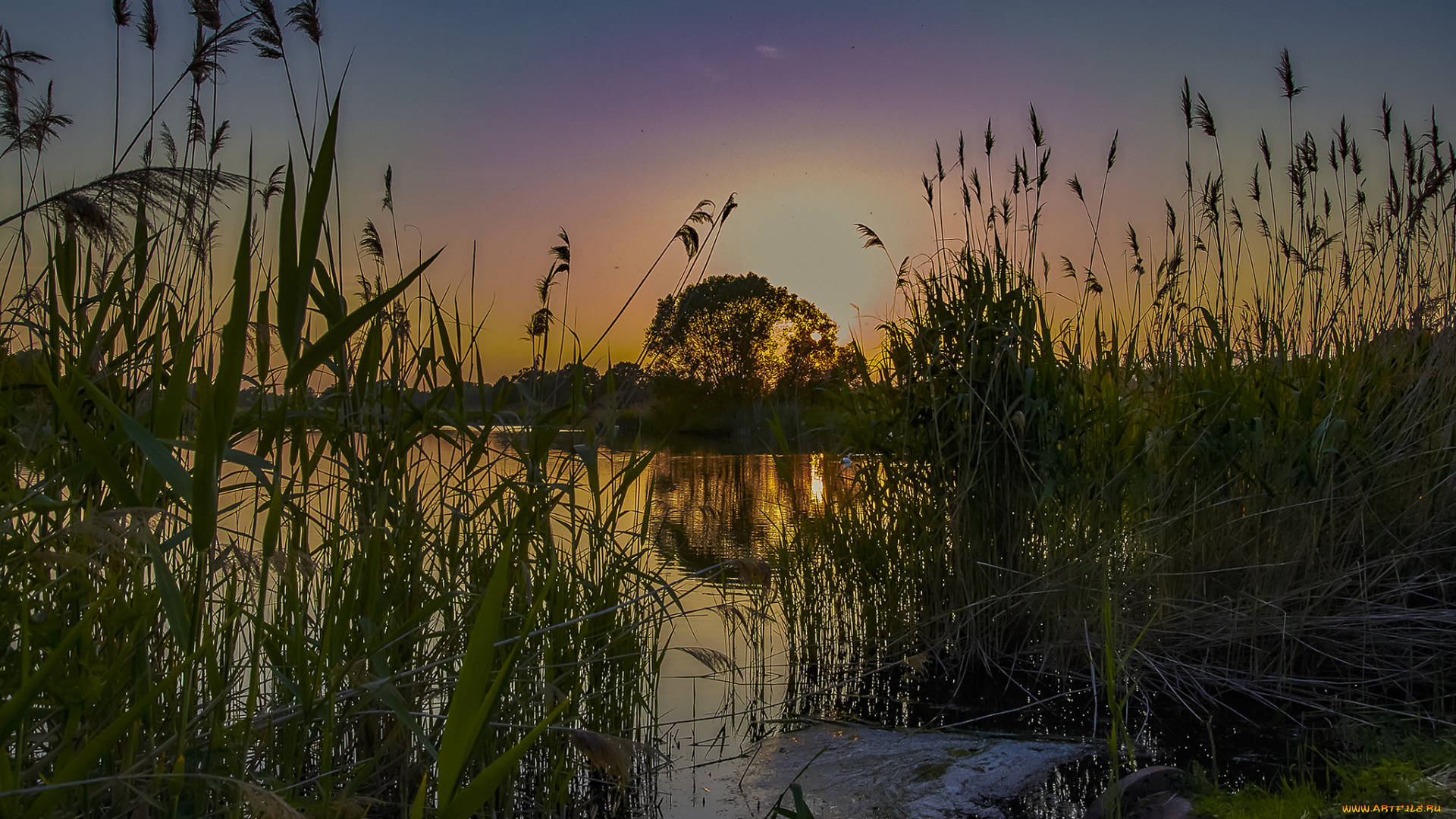 природа, реки, озера, простор