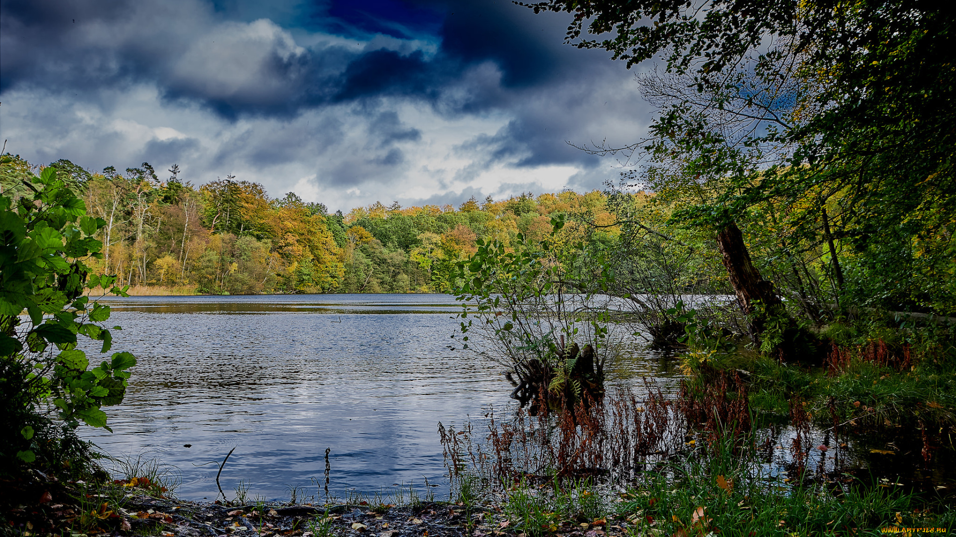 природа, реки, озера, простор
