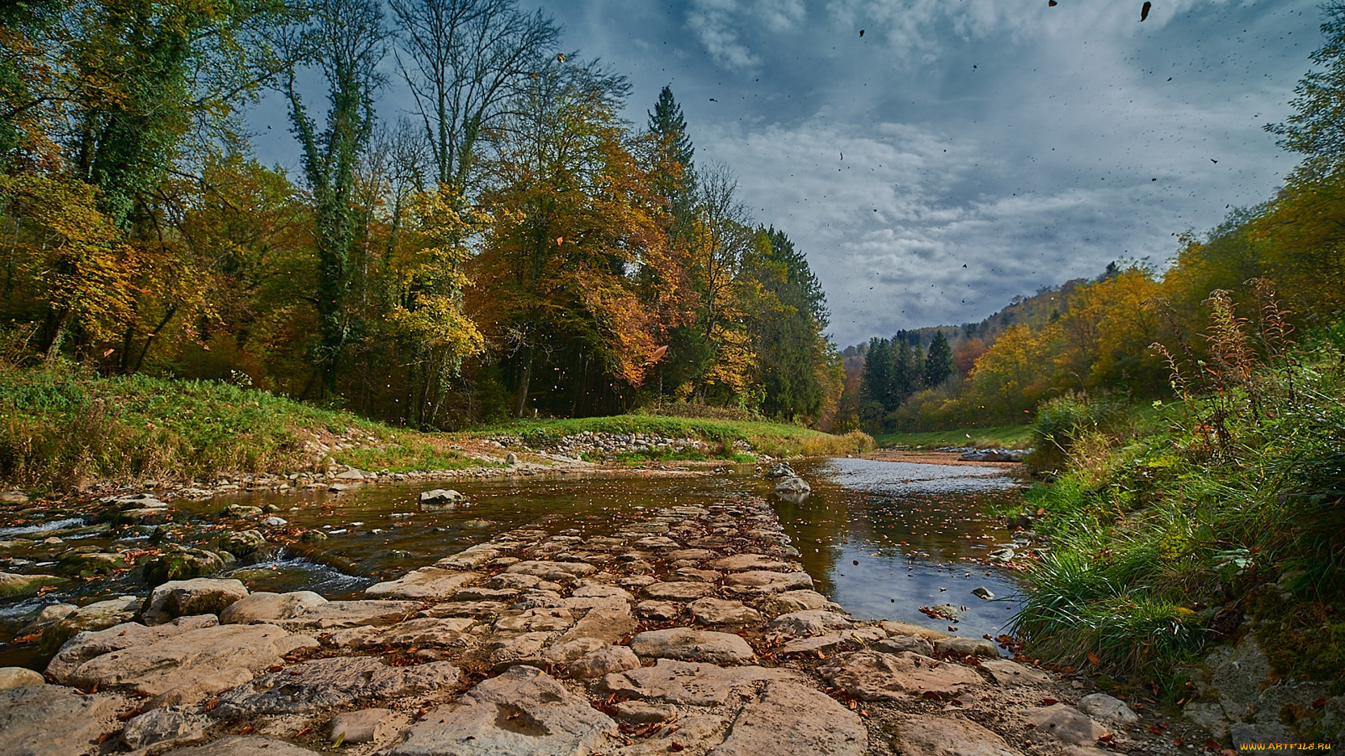 природа, реки, озера, простор