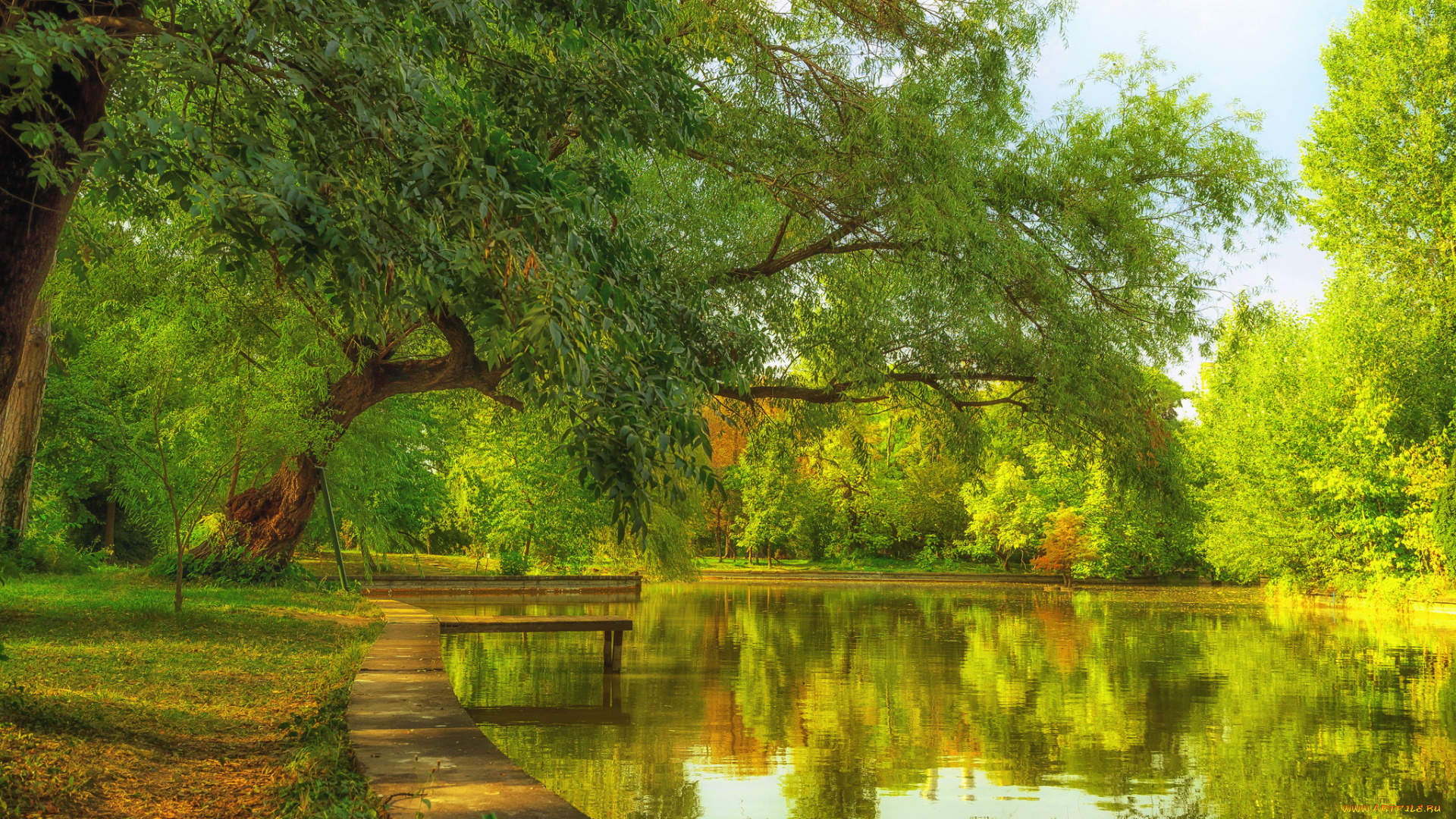 природа, реки, озера, простор