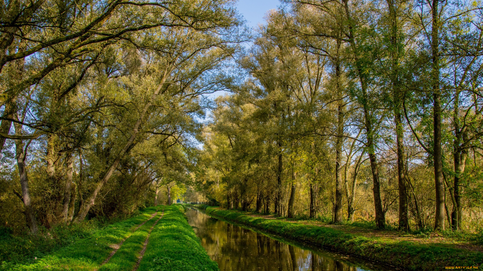 природа, реки, озера, простор