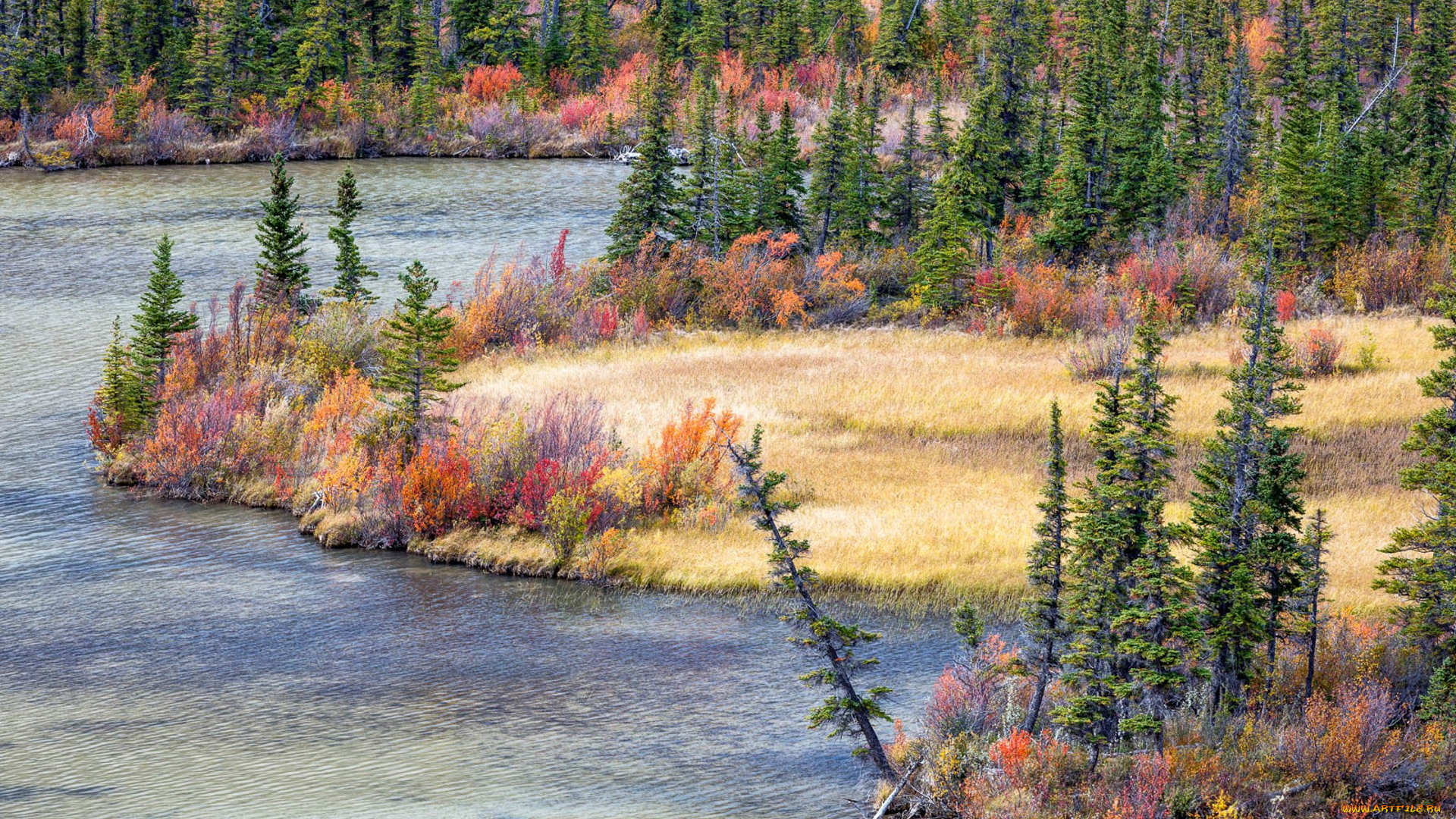 природа, реки, озера, простор