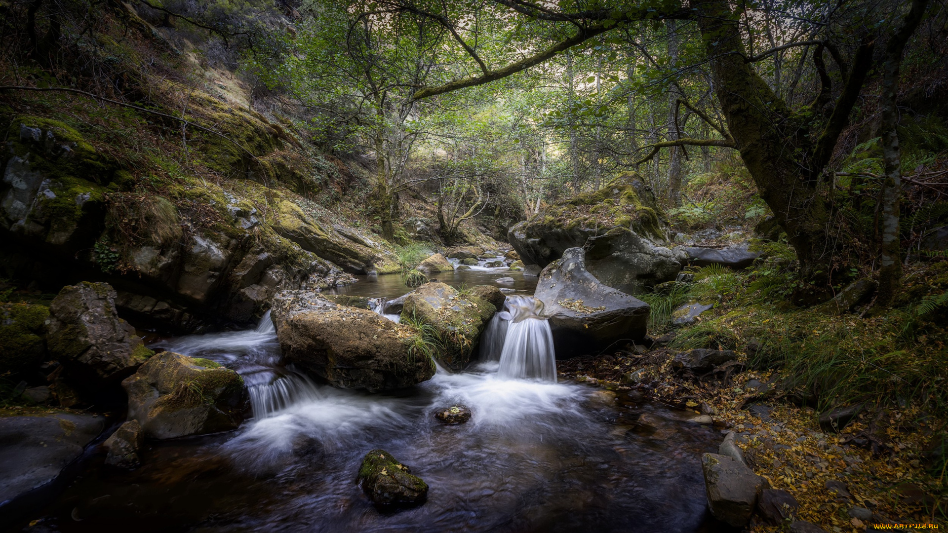 природа, реки, озера, простор