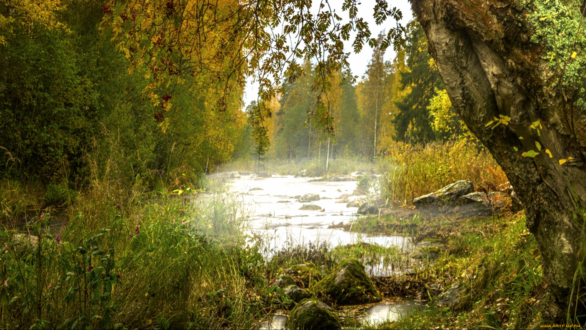 природа, реки, озера, простор