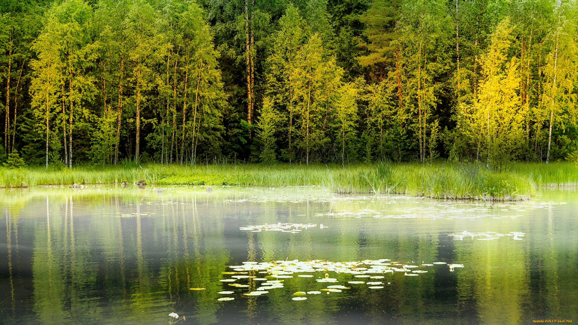 природа, реки, озера, простор