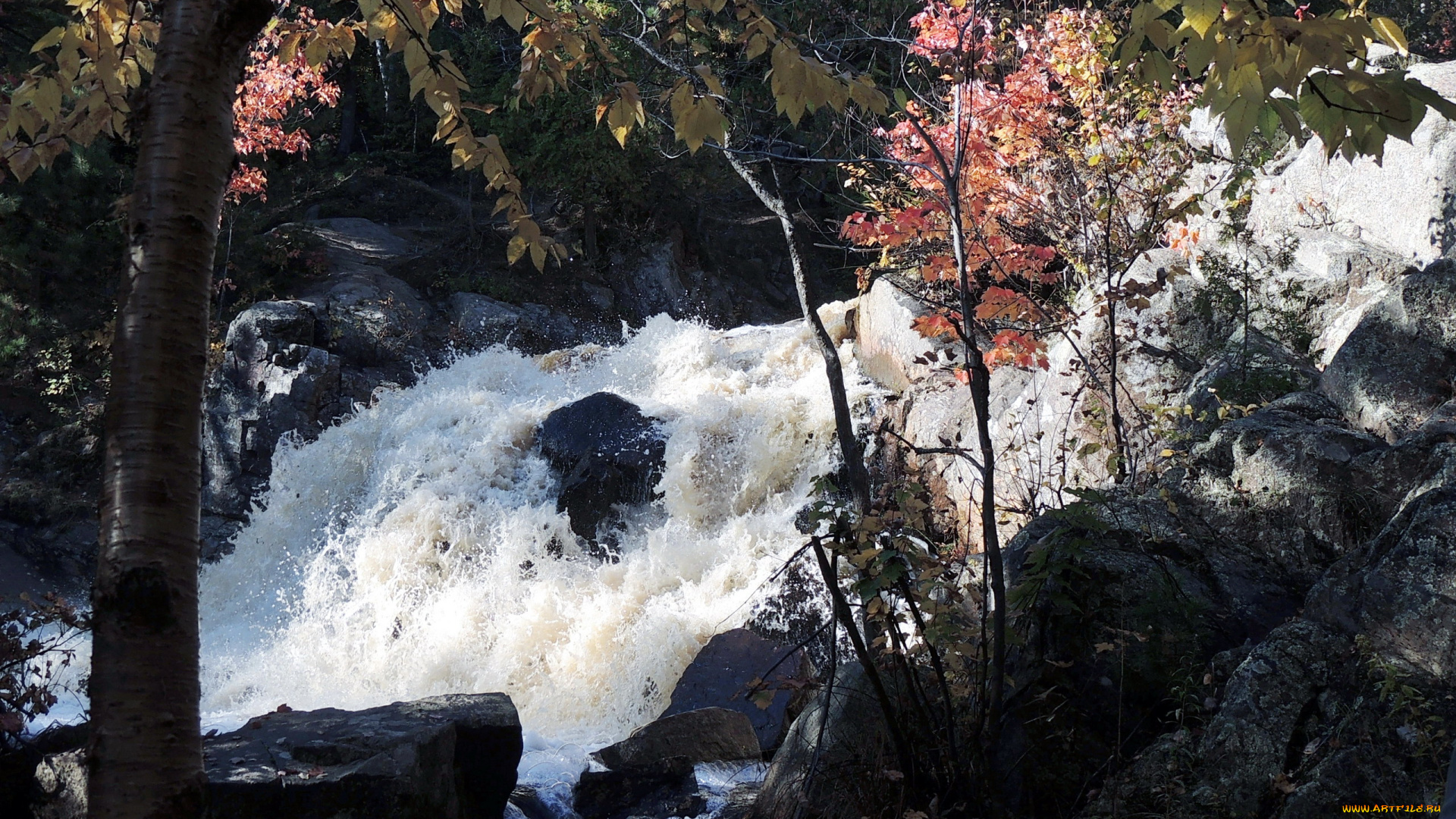 природа, водопады, вода, поток