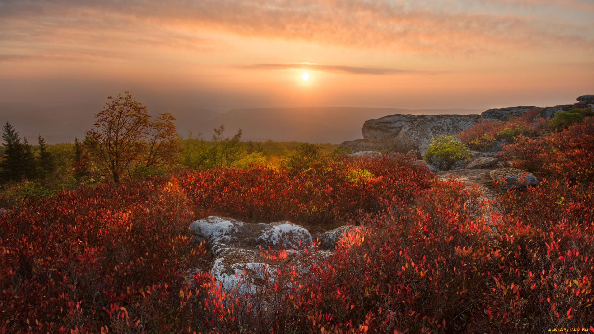 природа, восходы, закаты, простор