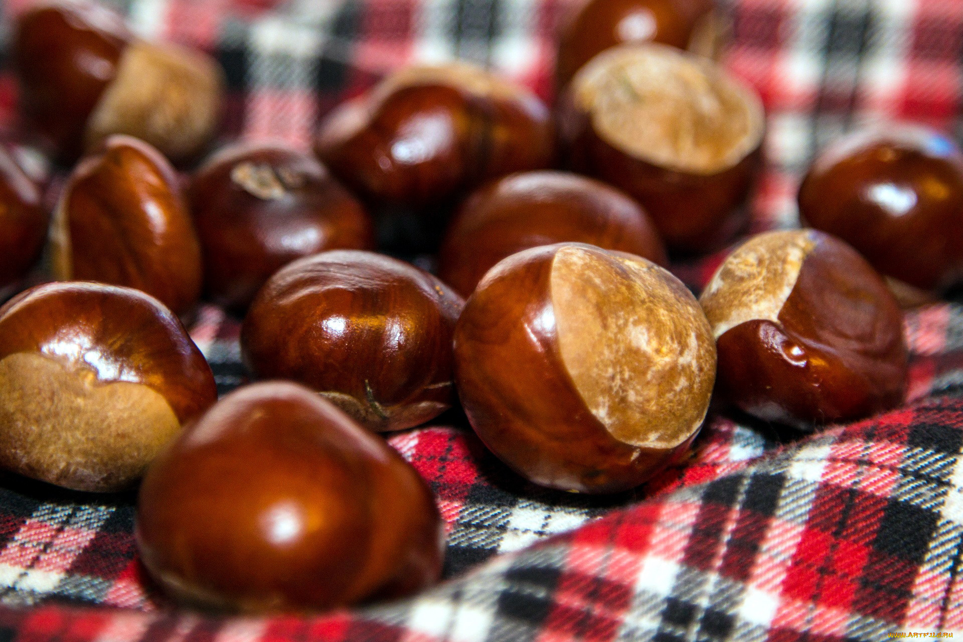 еда, орехи, , каштаны, , какао-бобы, каштаны