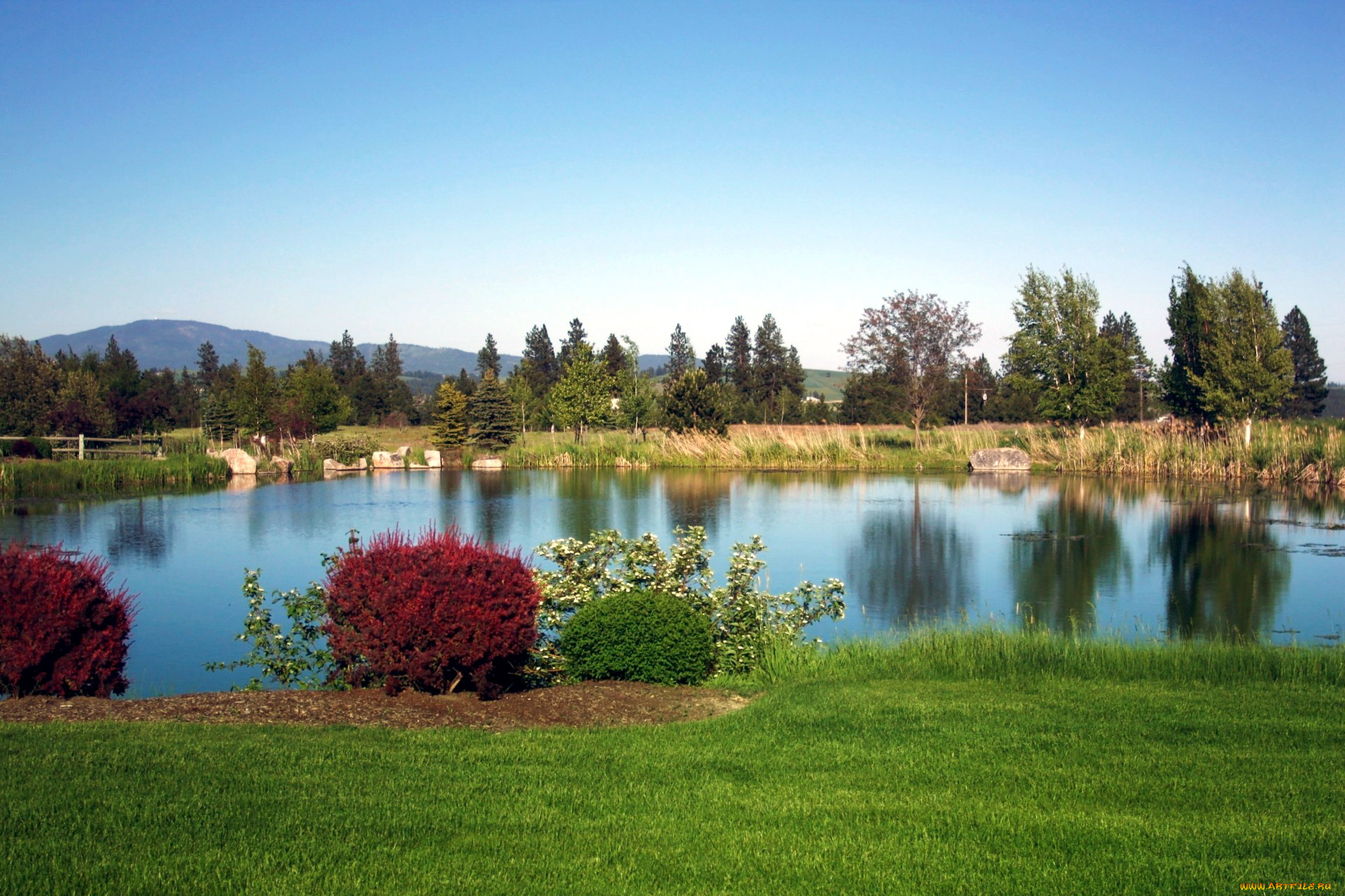 природа, реки, озера, кустарники, лужайка, пруд