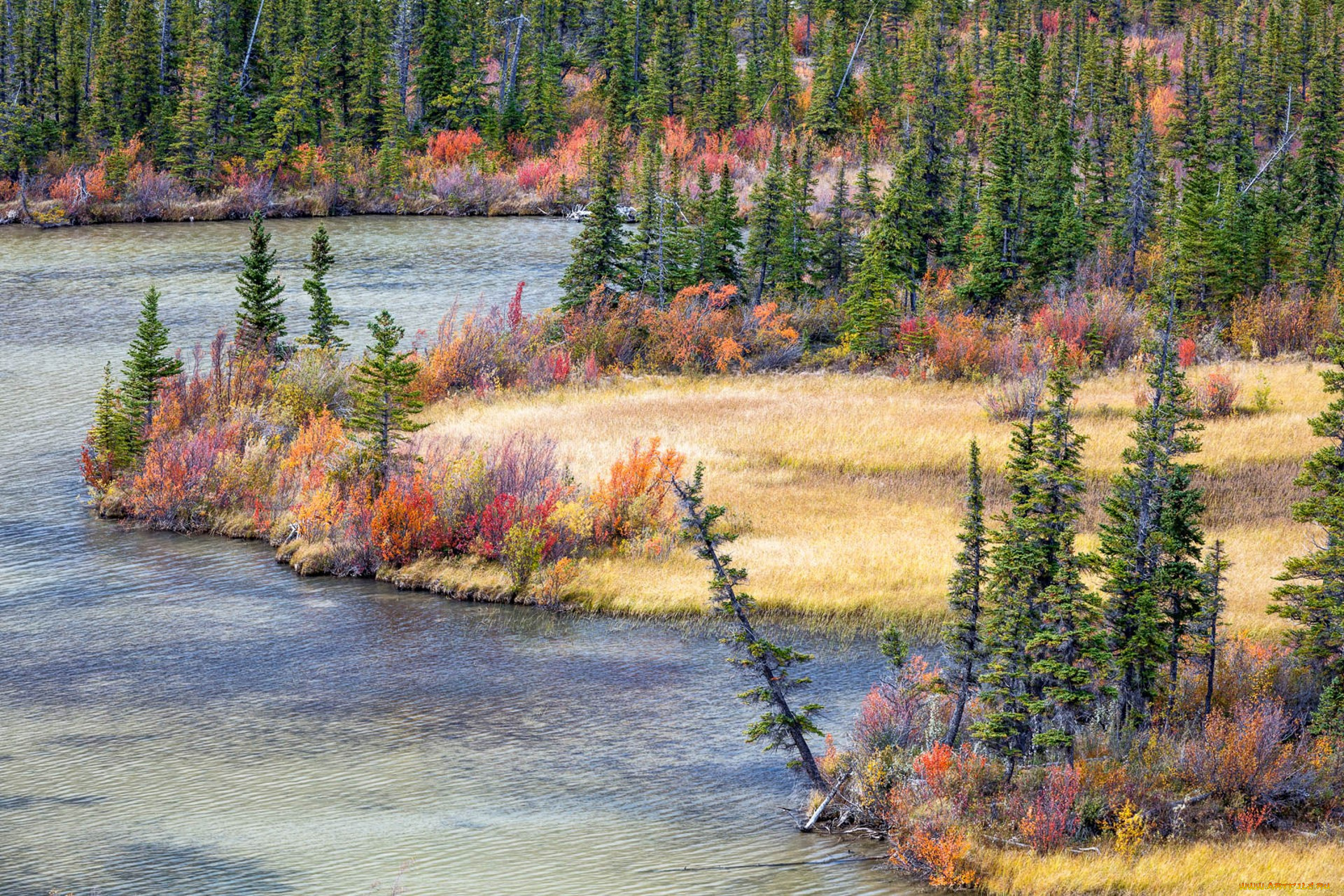 природа, реки, озера, простор