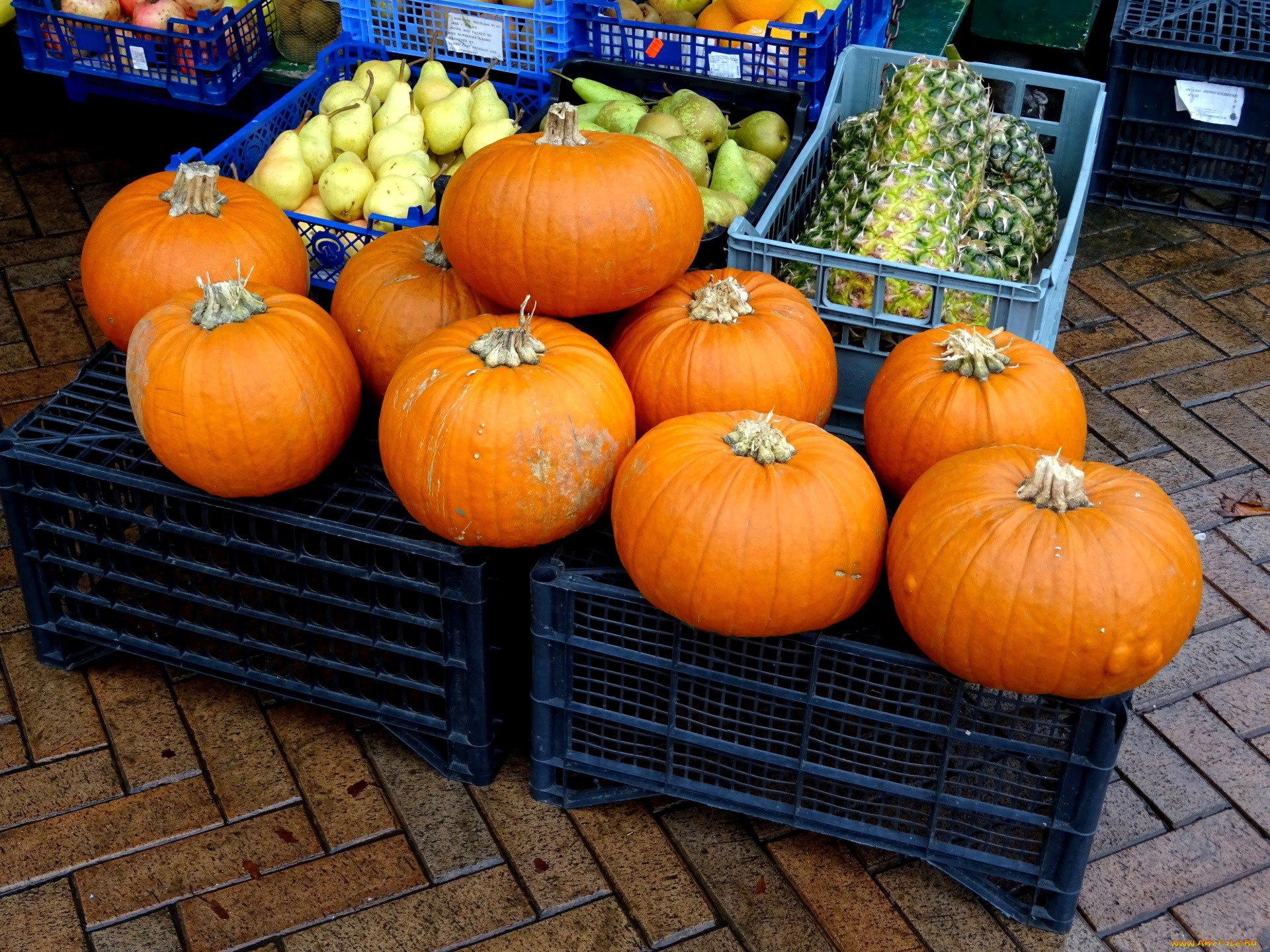 еда, фрукты, и, овощи, вместе, ананас, тыква, груши