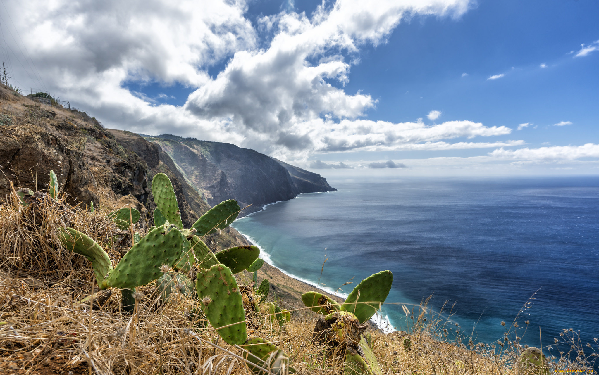 природа, побережье, простор