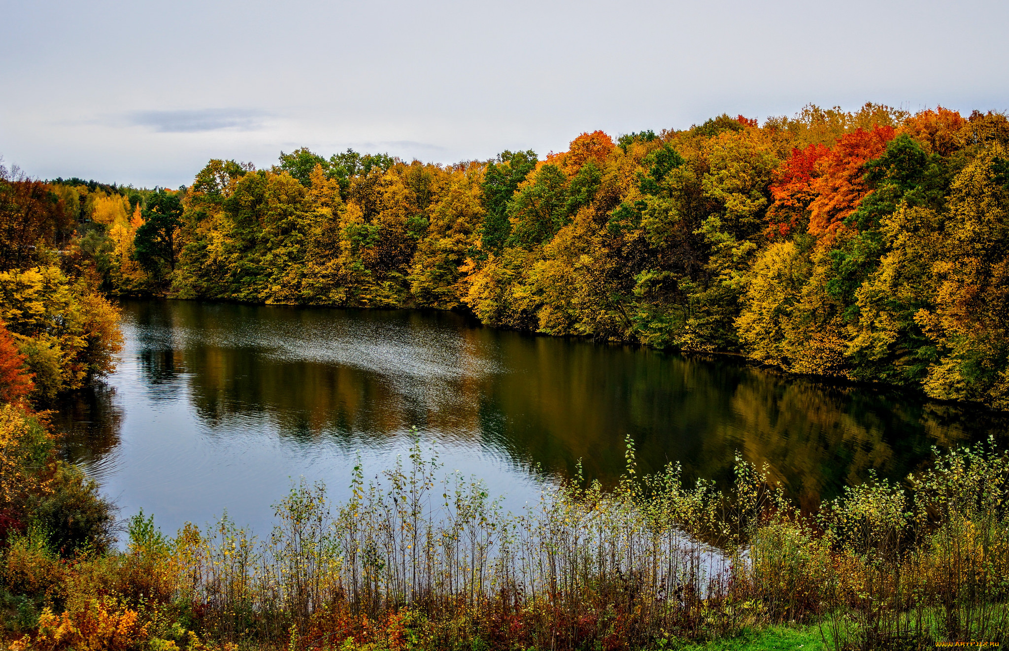 природа, реки, озера, простор