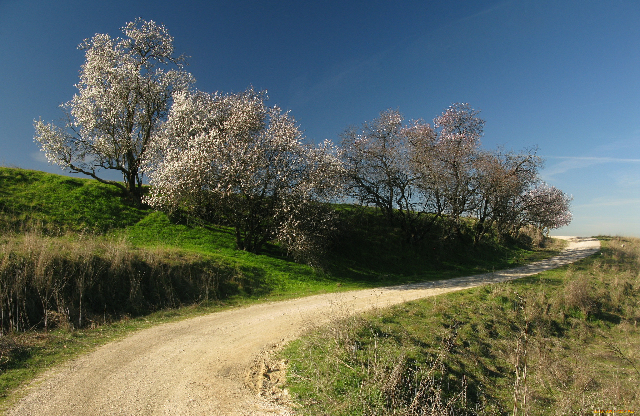 природа, дороги, простор