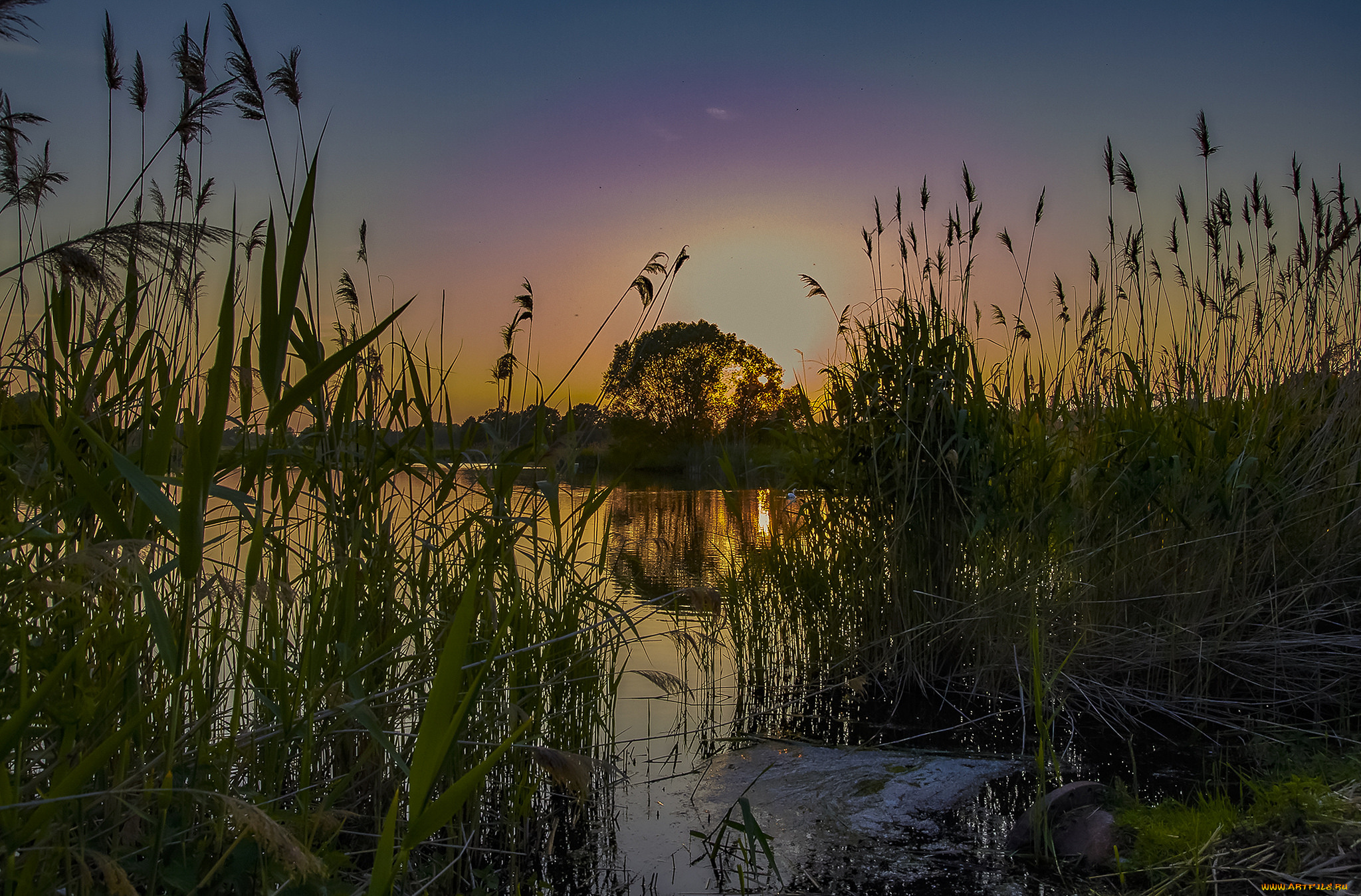 природа, реки, озера, простор