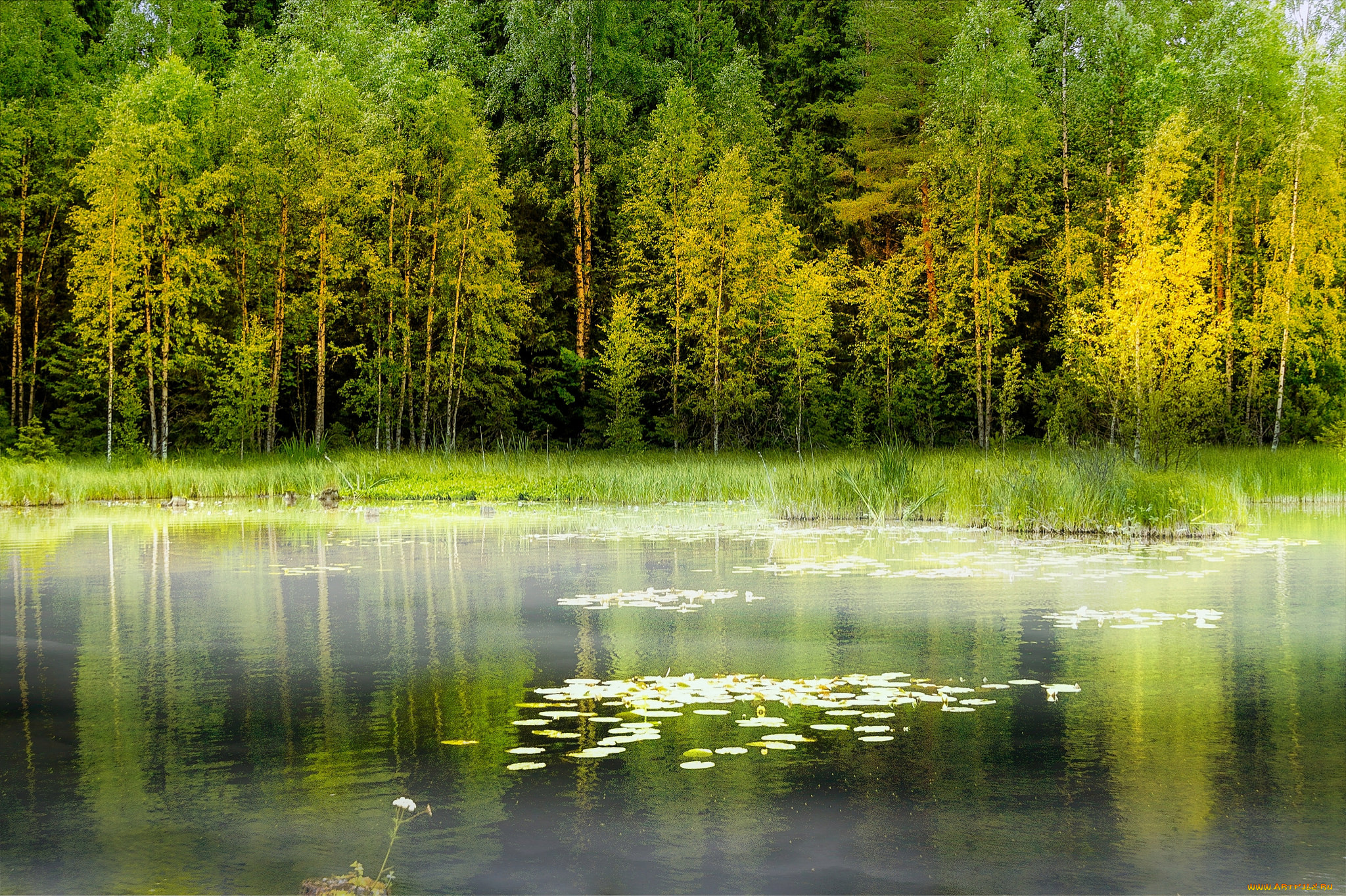 природа, реки, озера, простор