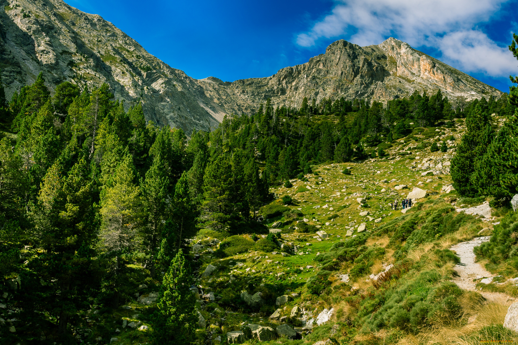 природа, горы, простор