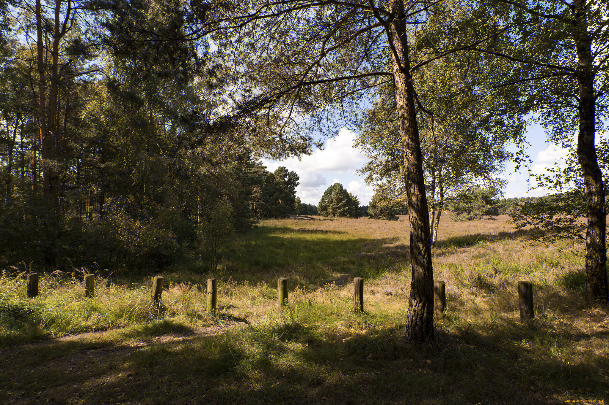 природа, пейзажи, простор