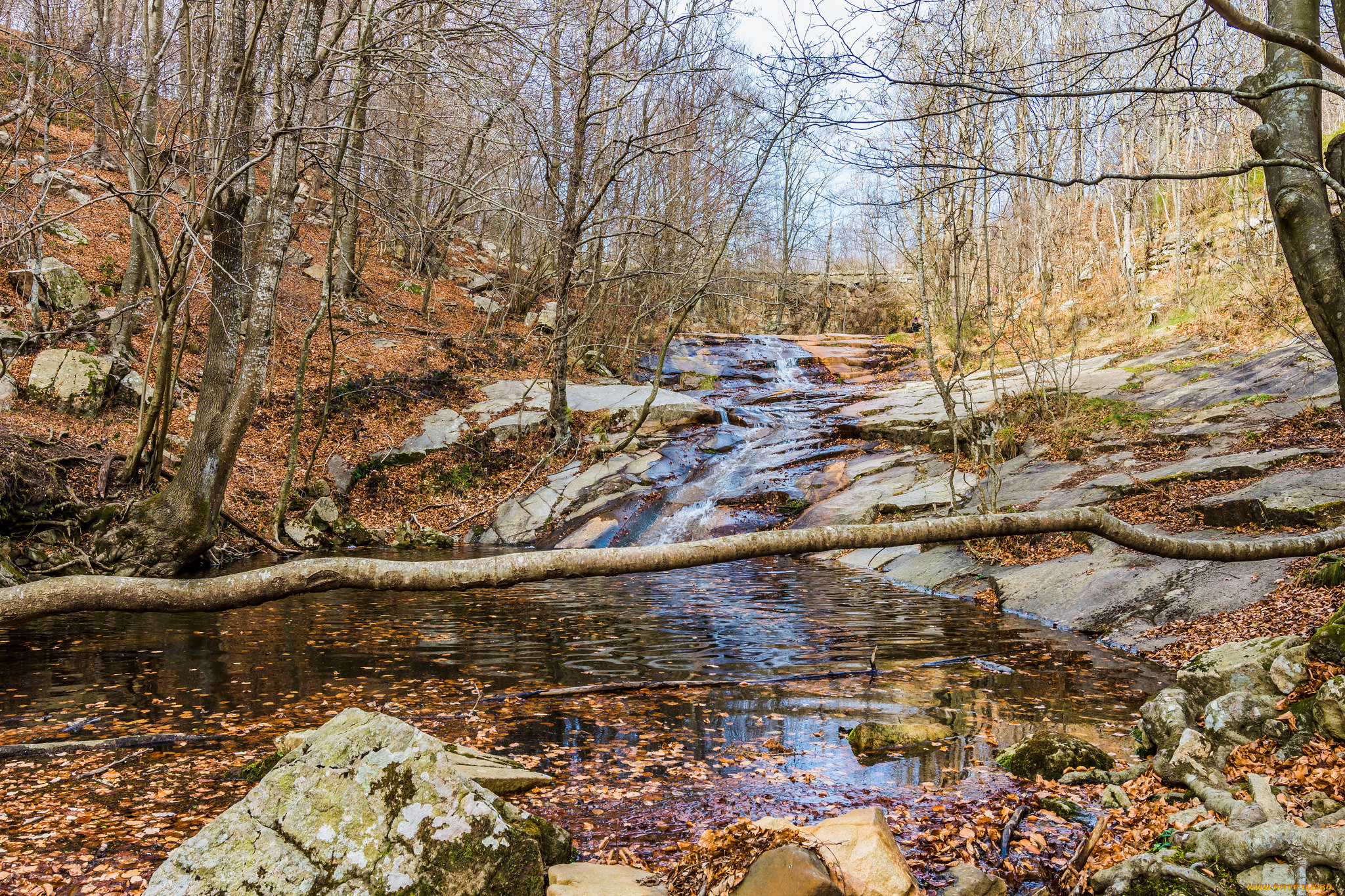 природа, реки, озера, простор