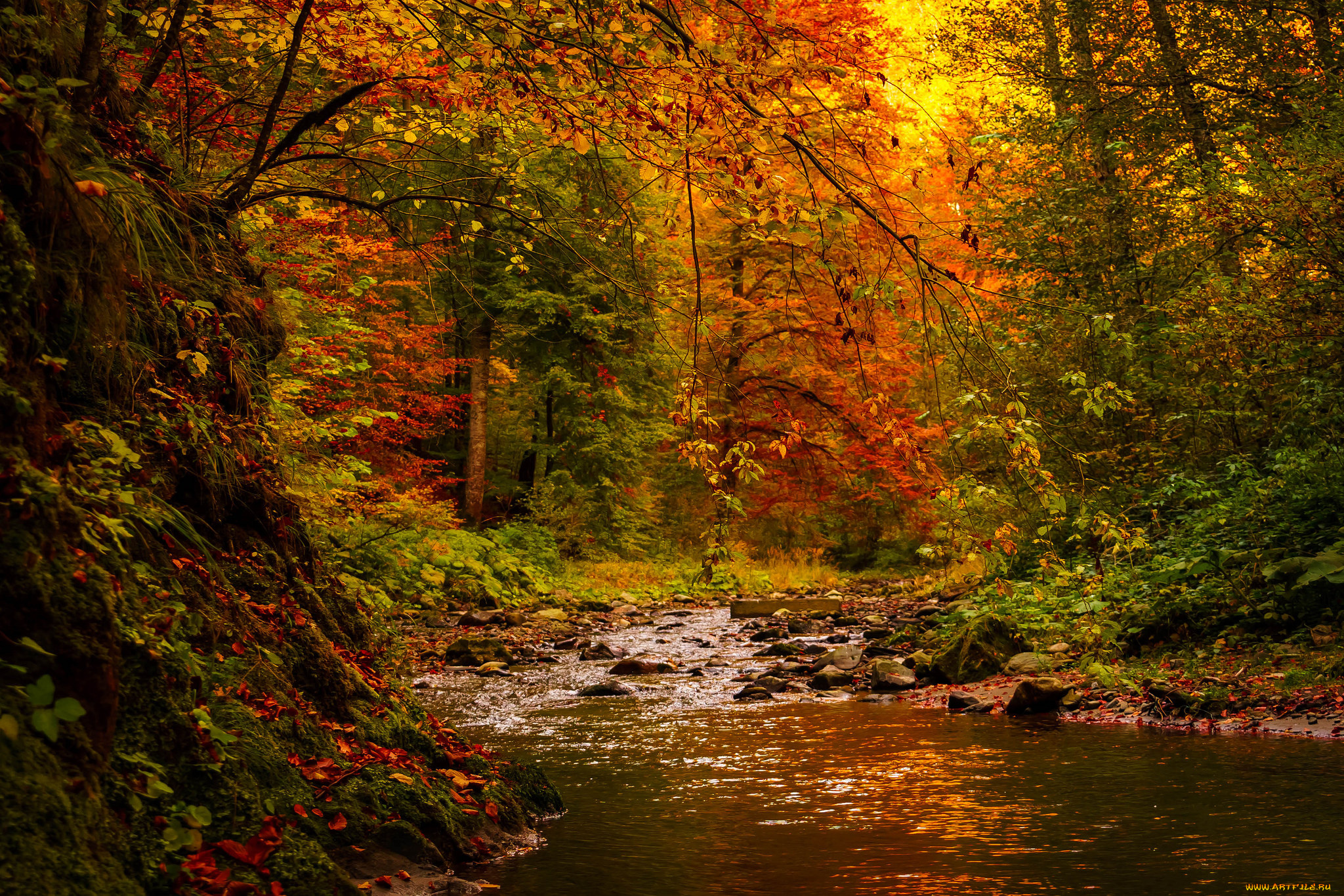 природа, реки, озера, простор