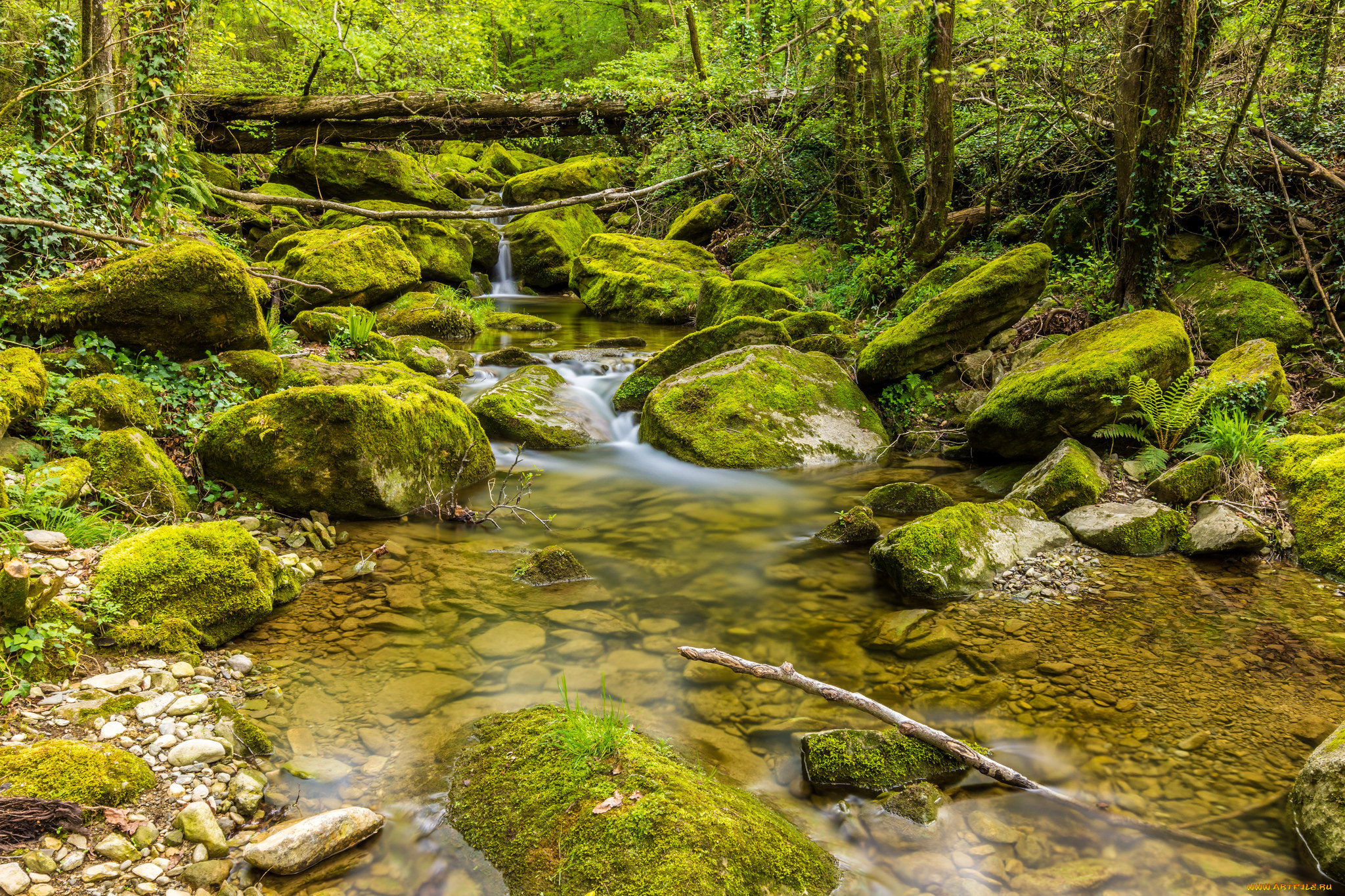 природа, реки, озера, простор