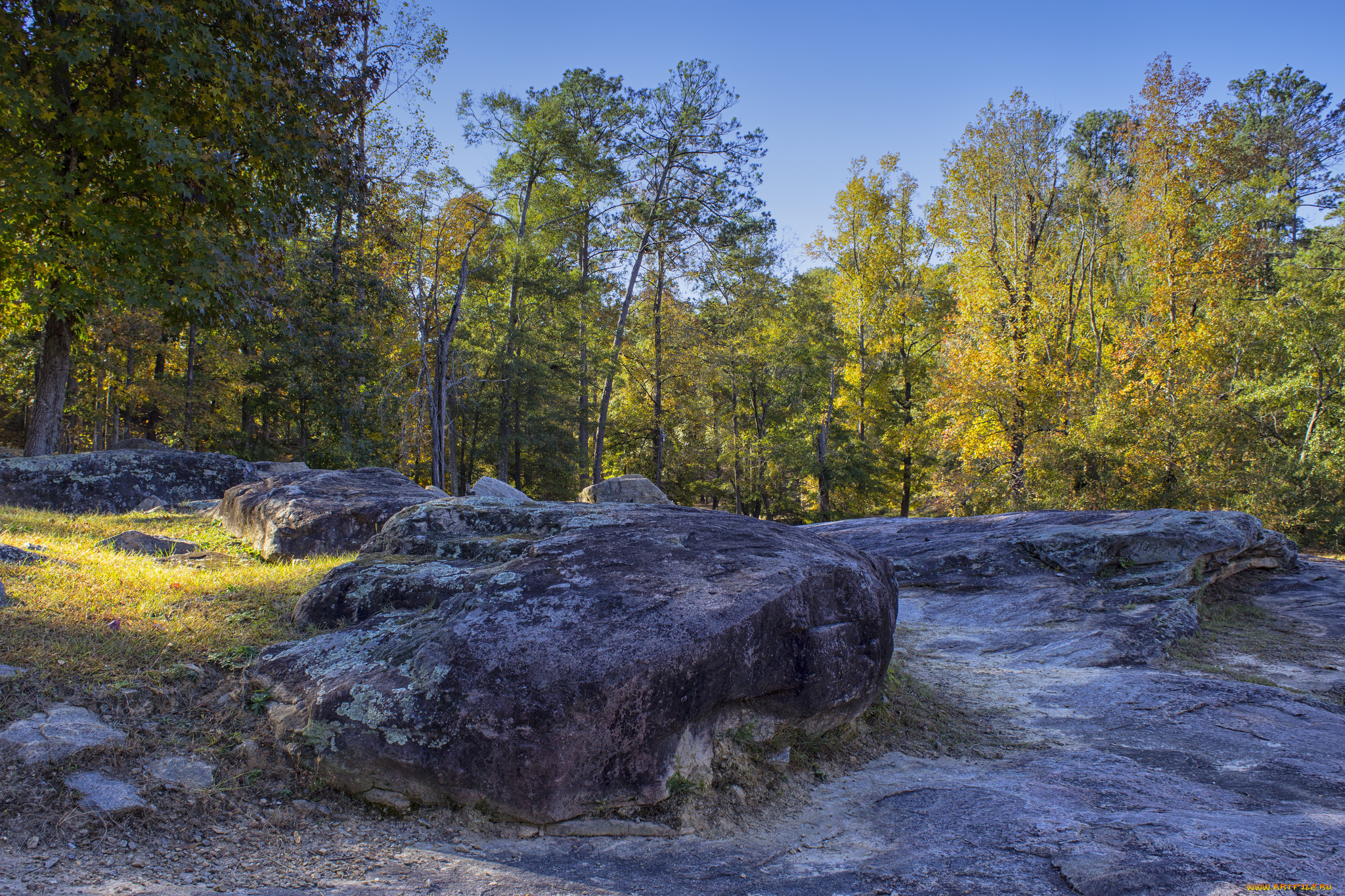 природа, реки, озера, простор