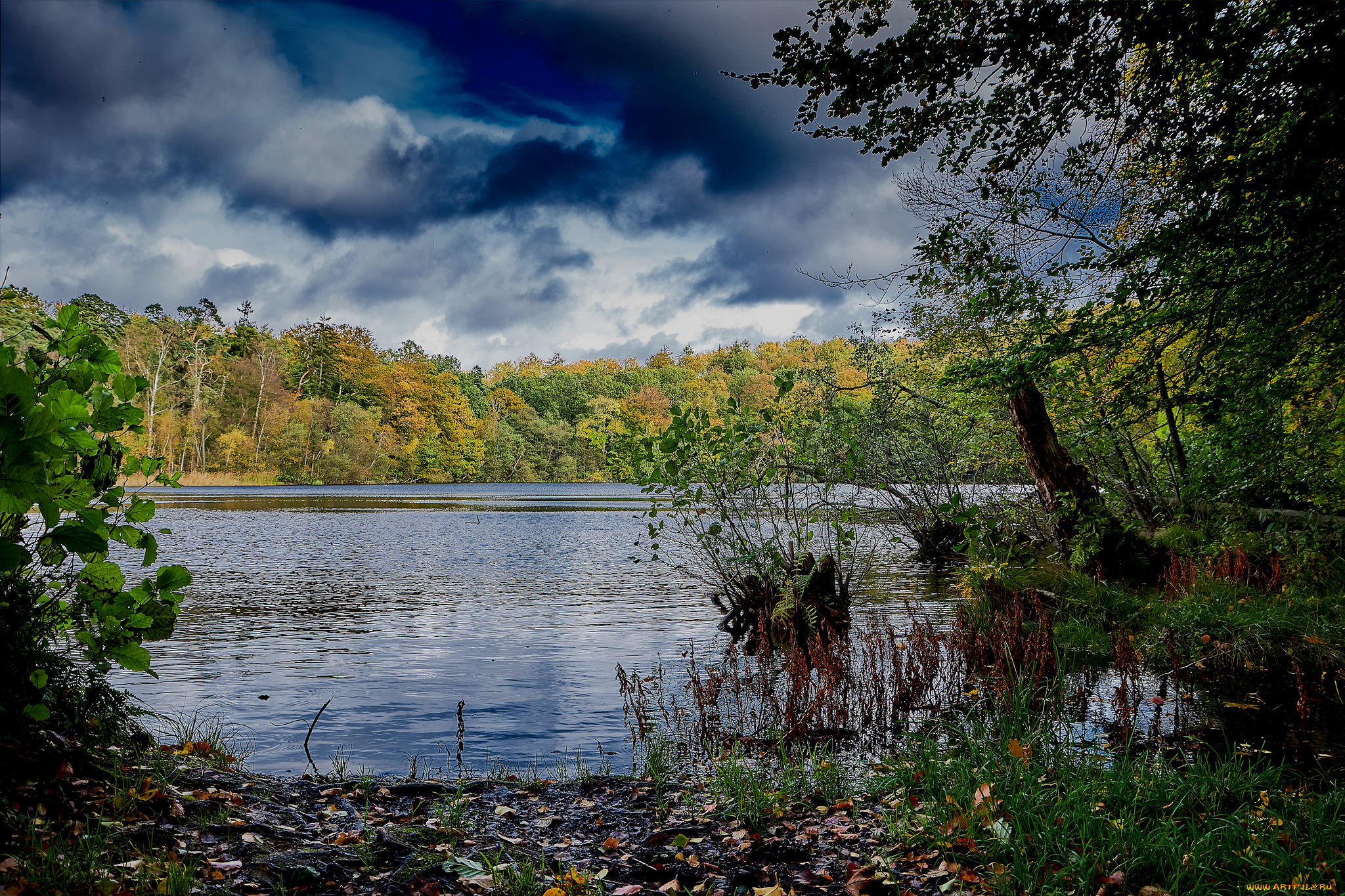 природа, реки, озера, простор