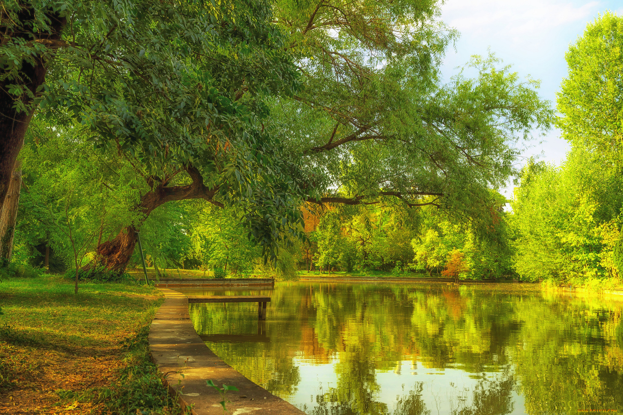 природа, реки, озера, простор