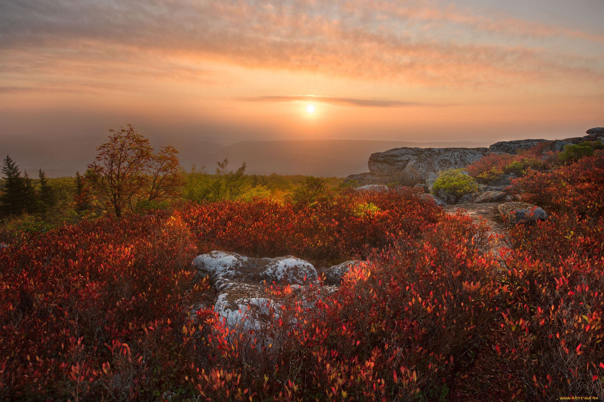 природа, восходы, закаты, простор