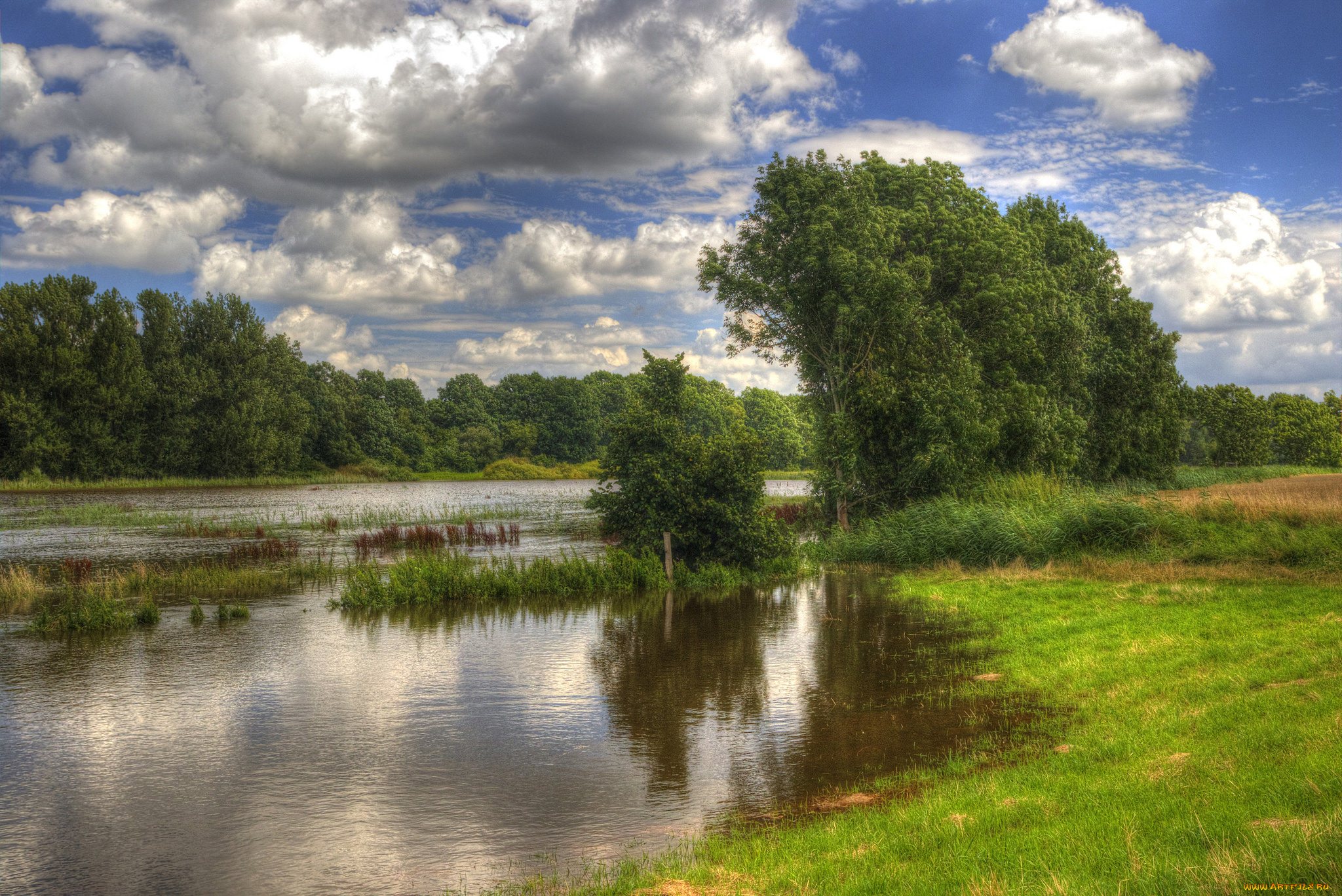 природа, реки, озера, простор