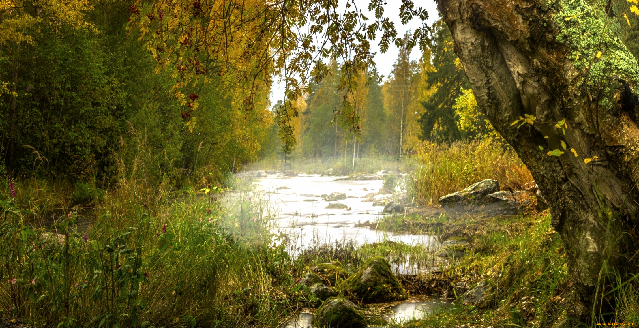 природа, реки, озера, простор