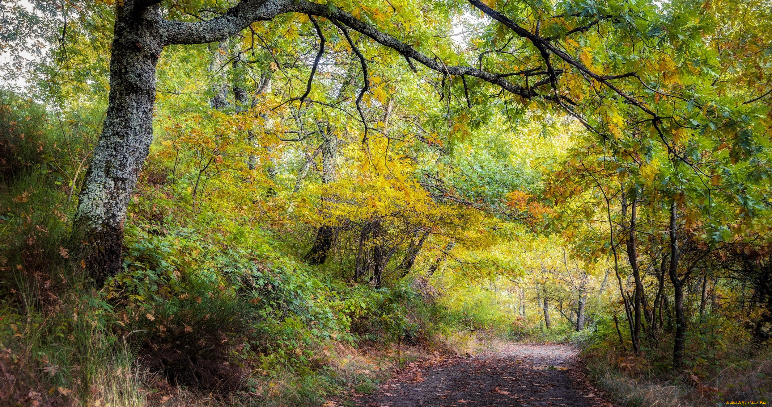 природа, дороги, простор