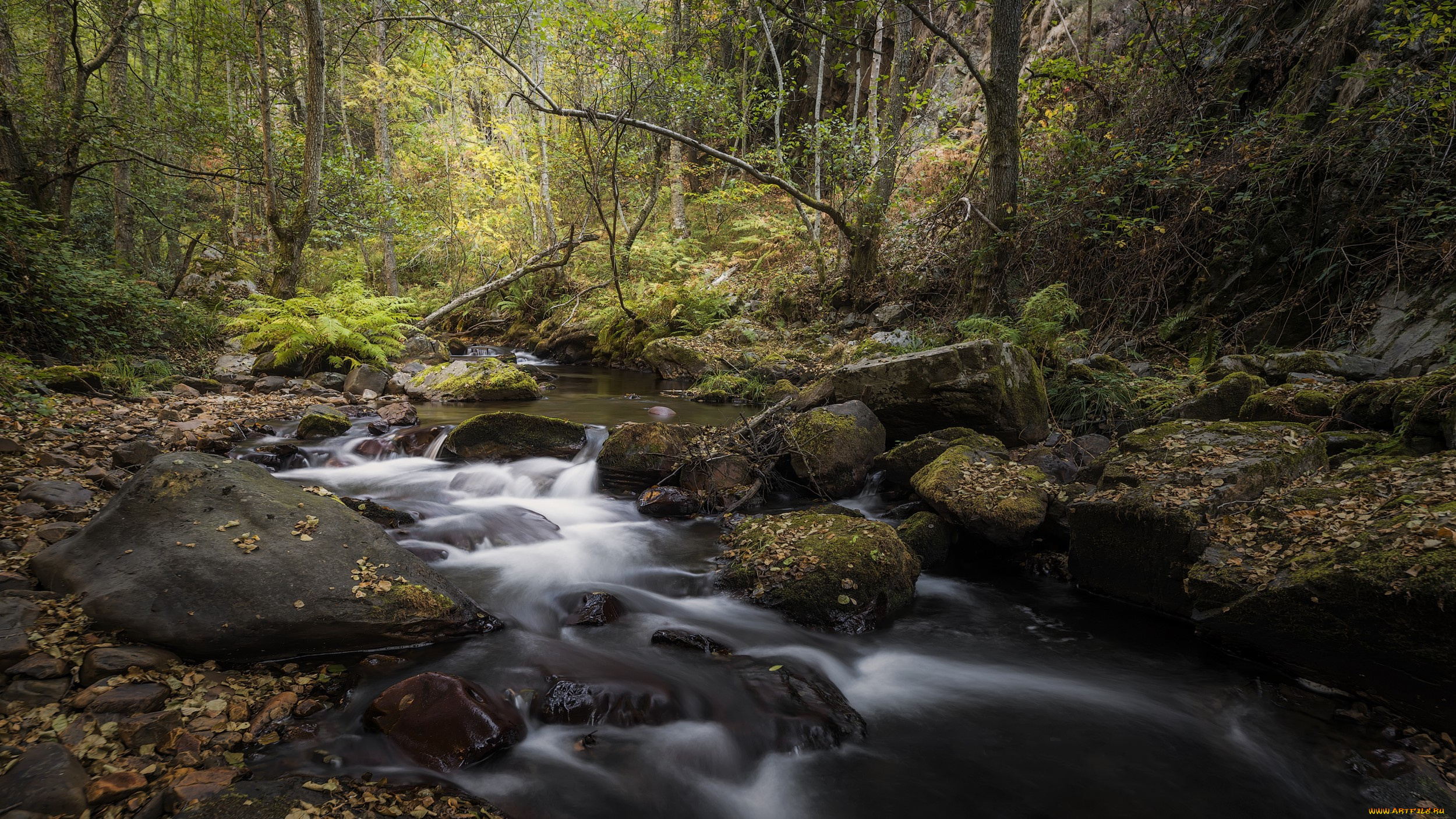 природа, реки, озера, простор