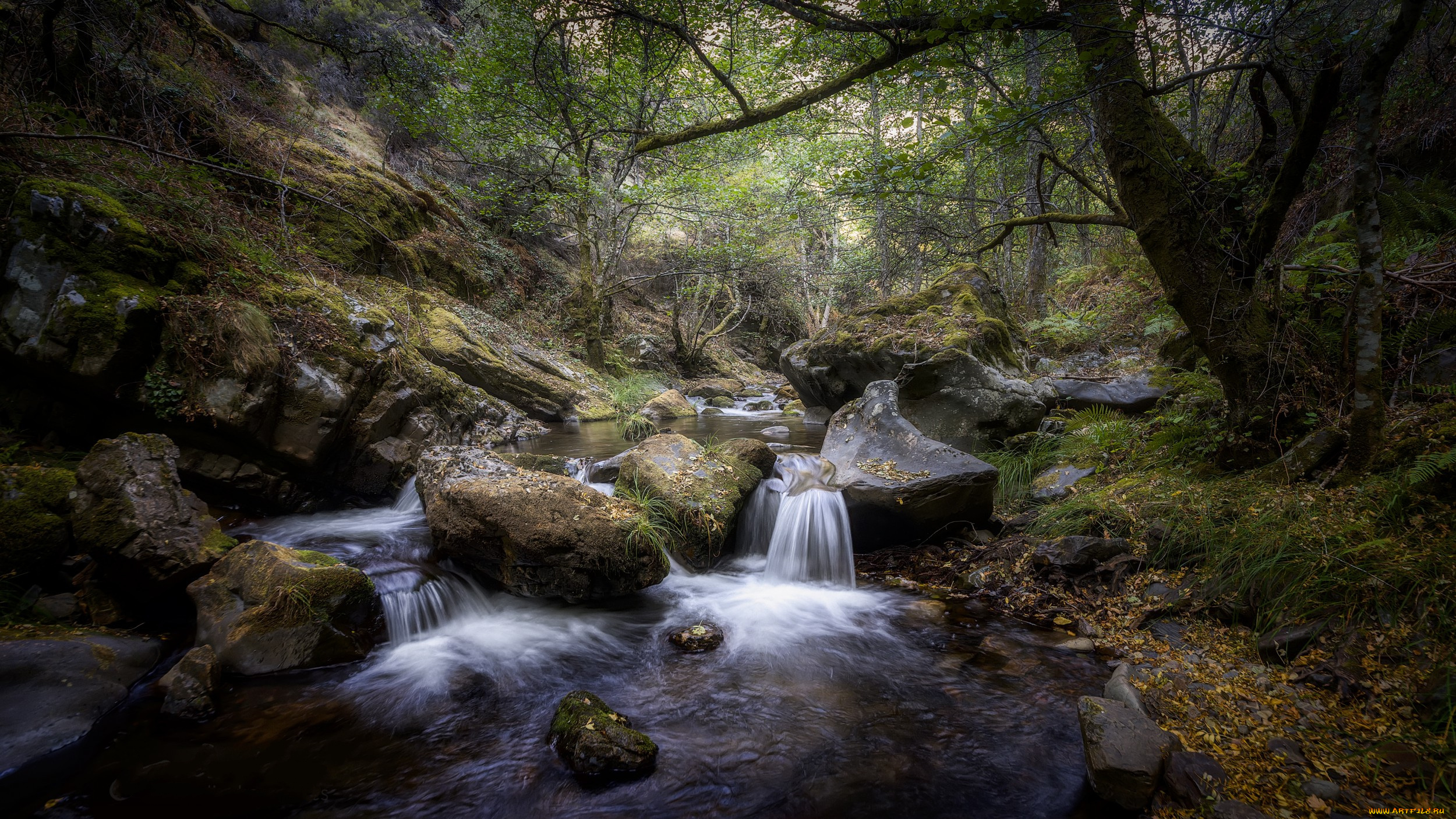 природа, реки, озера, простор