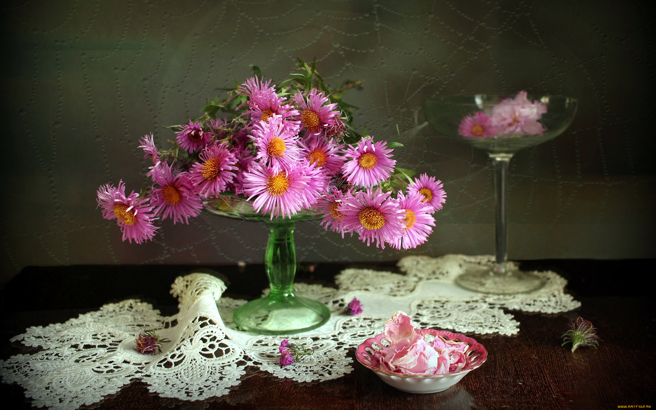 цветы, астры, композиция