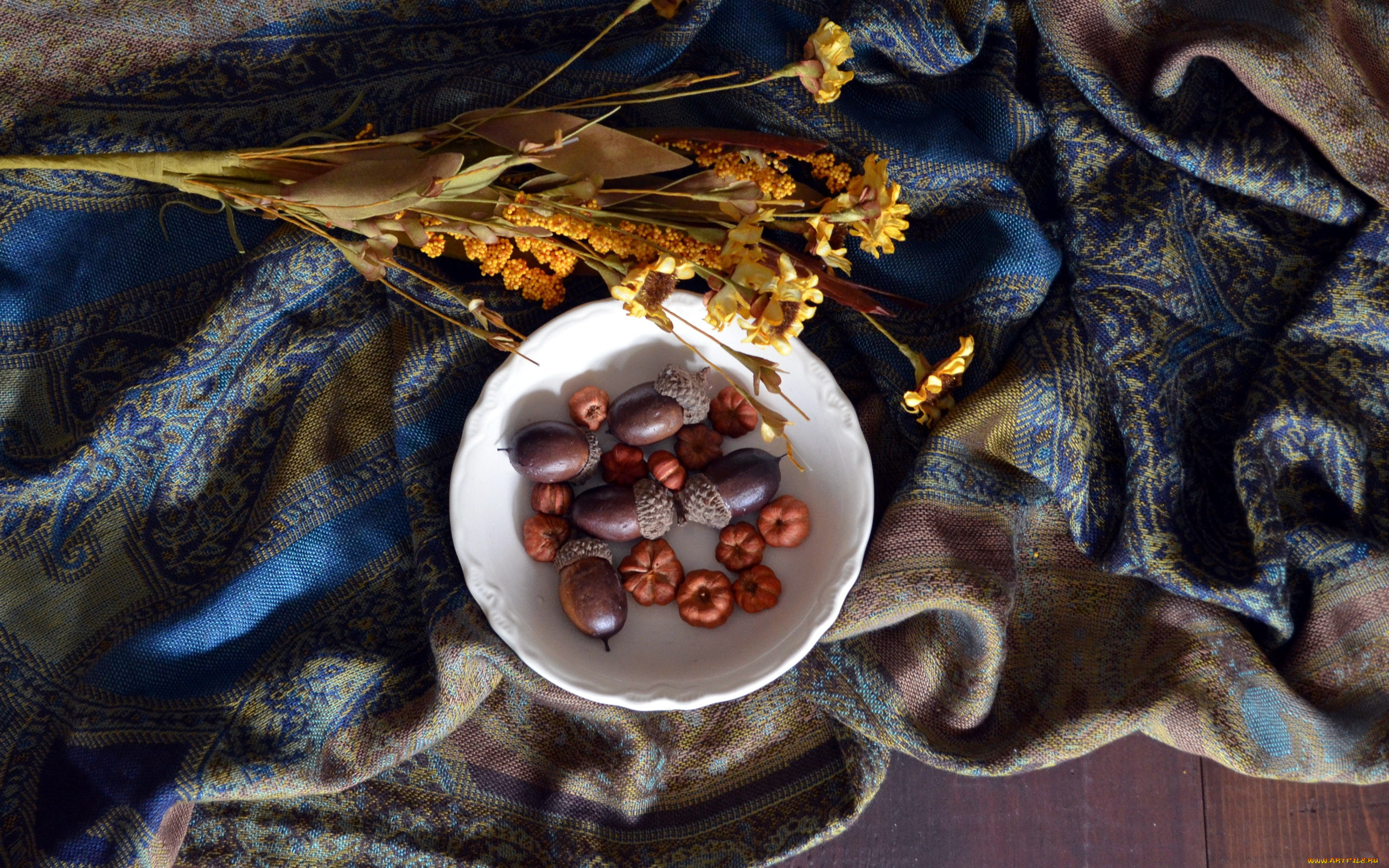 природа, шишки, , жёлуди, , каштаны, желуди