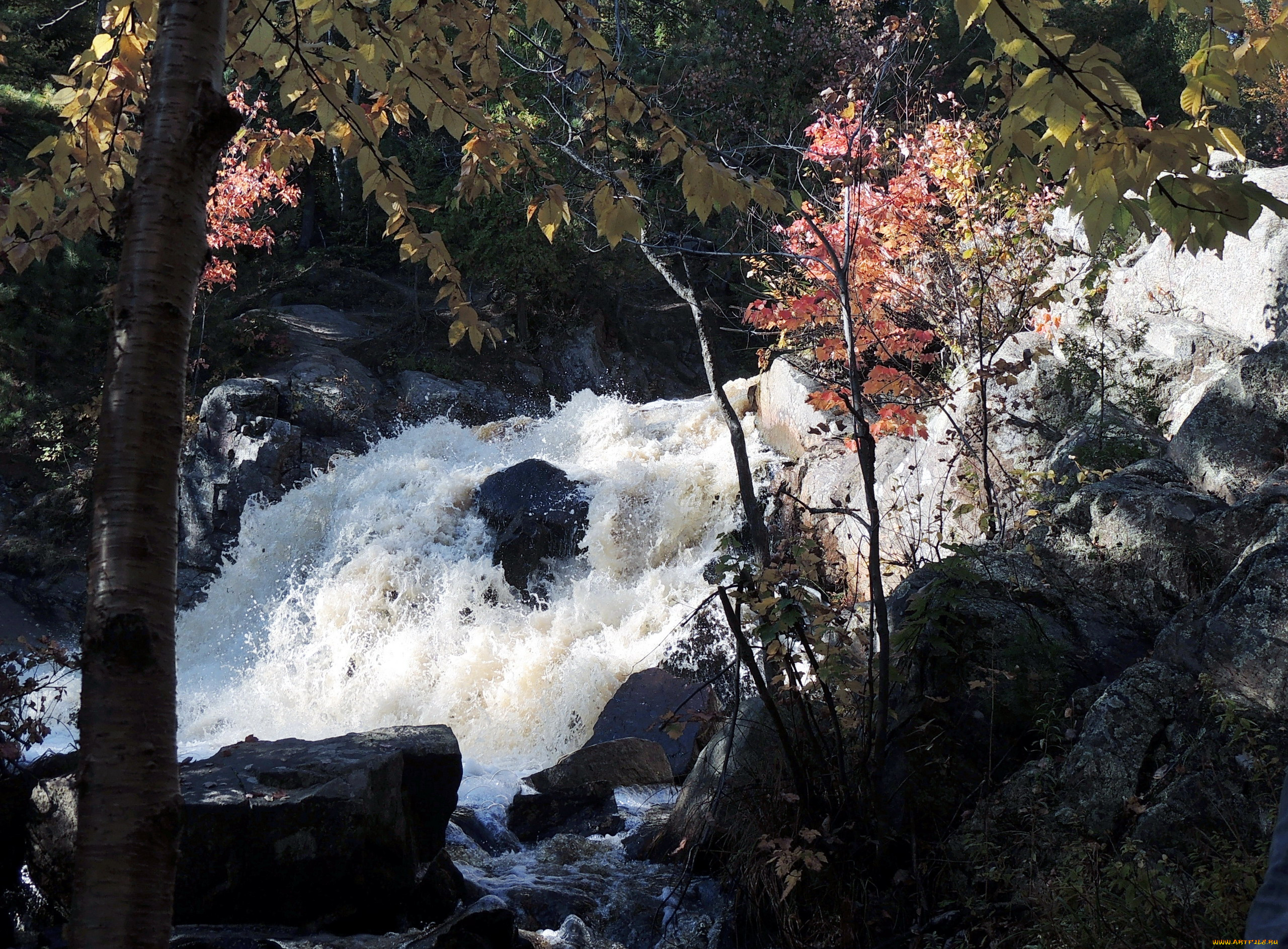 природа, водопады, вода, поток