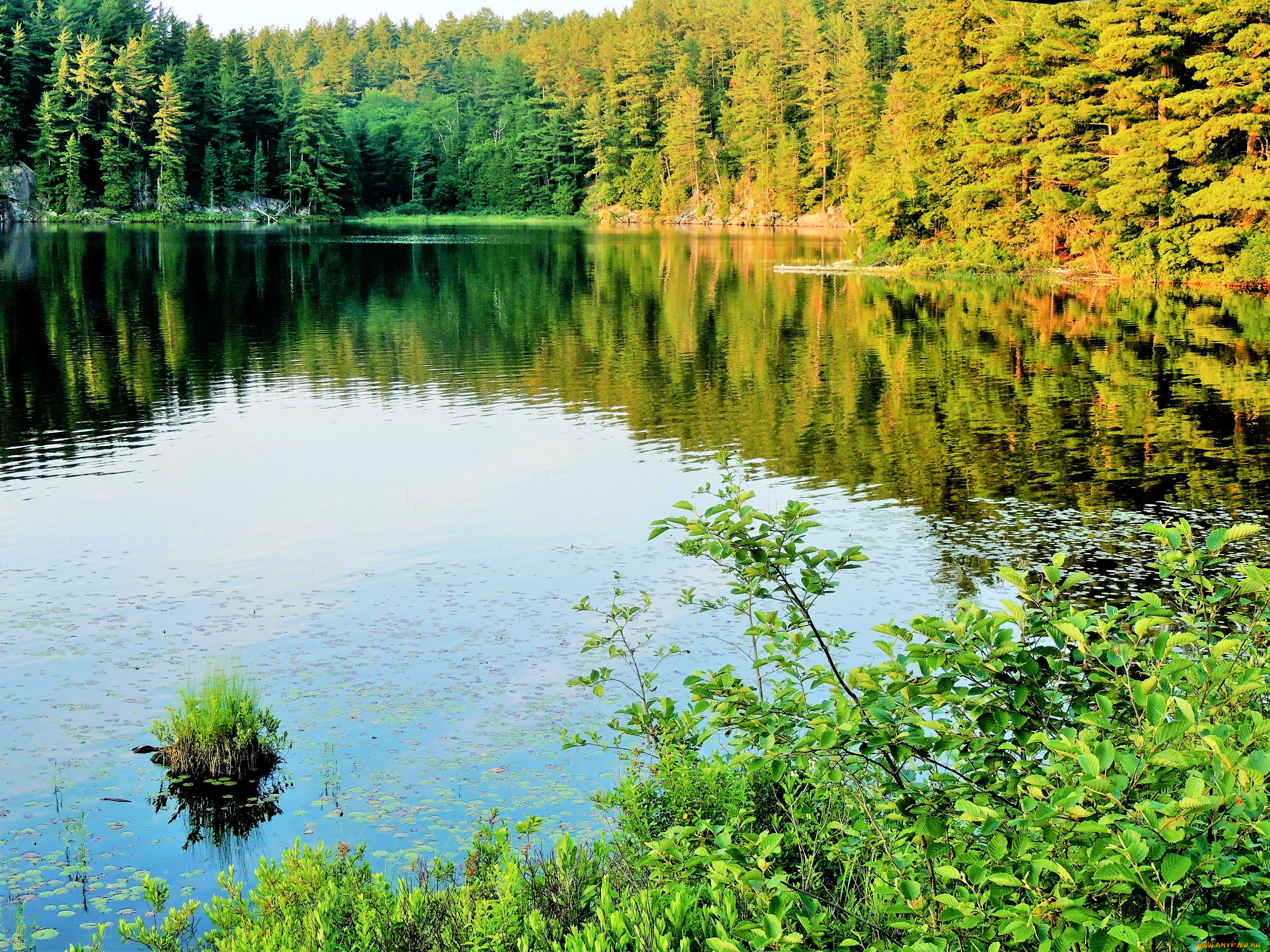 природа, реки, озера, осень, река, отражение