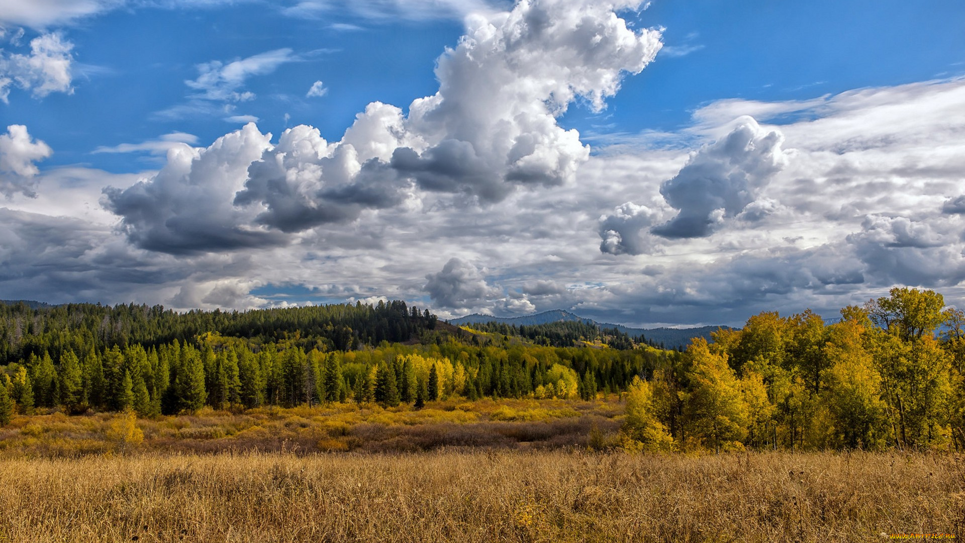 природа, пейзажи, простор