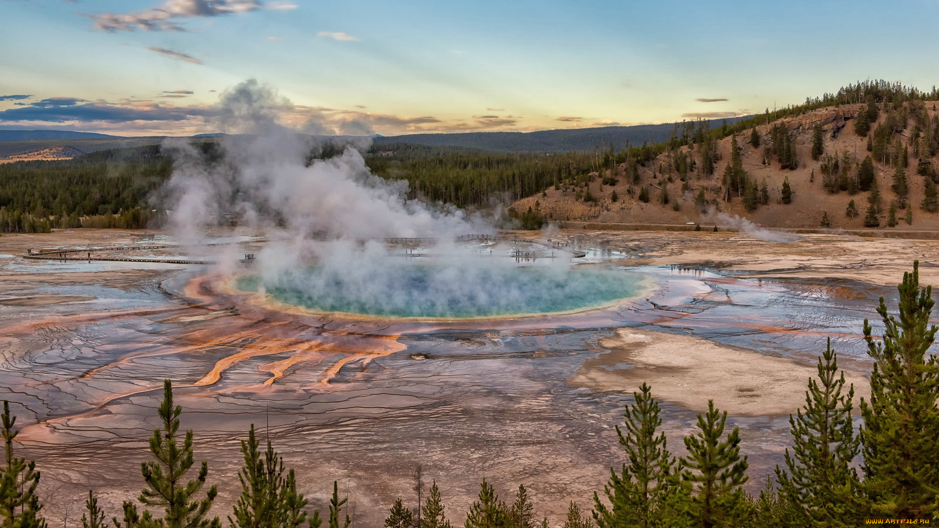 природа, стихия, простор