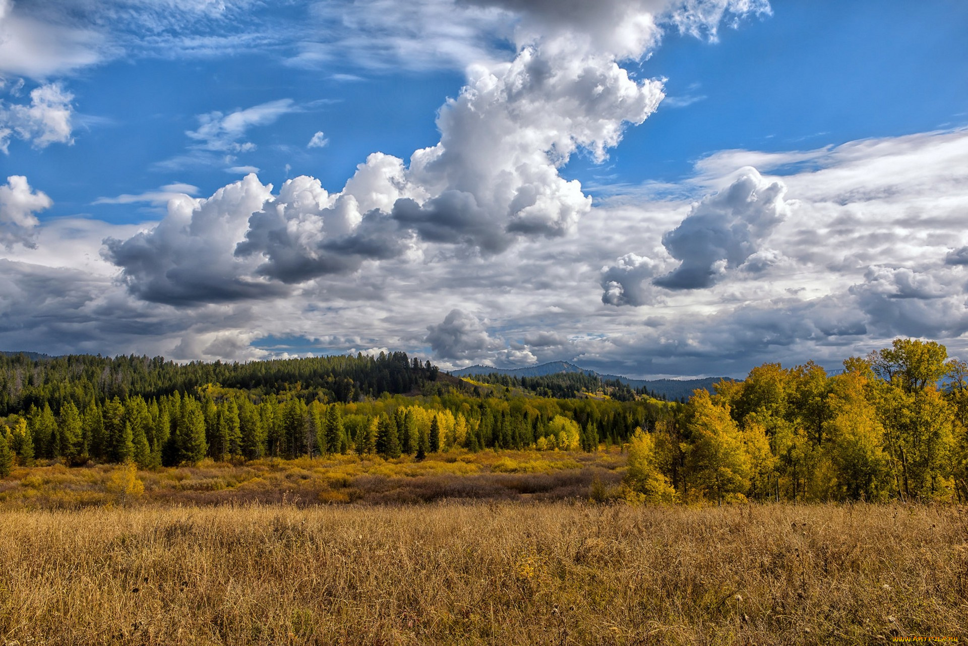 природа, пейзажи, простор