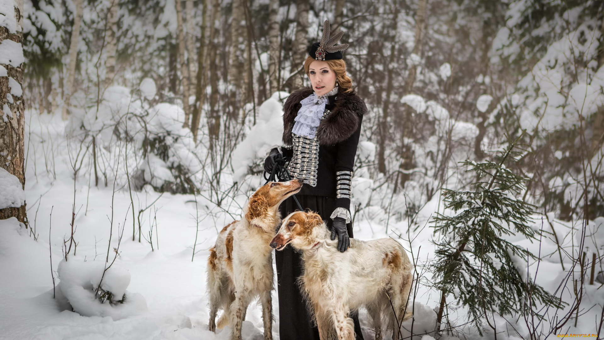 девушки, -, блондинки, , светловолосые, блондинка, костюм, собаки, борзые, зима, снег, лес